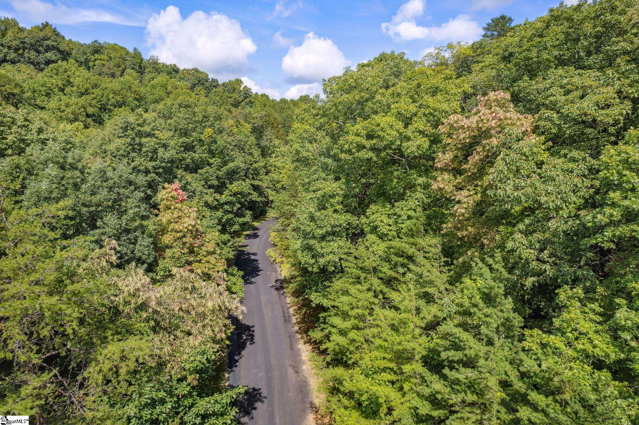 18 High Cliffe Way Landrum, SC 29356