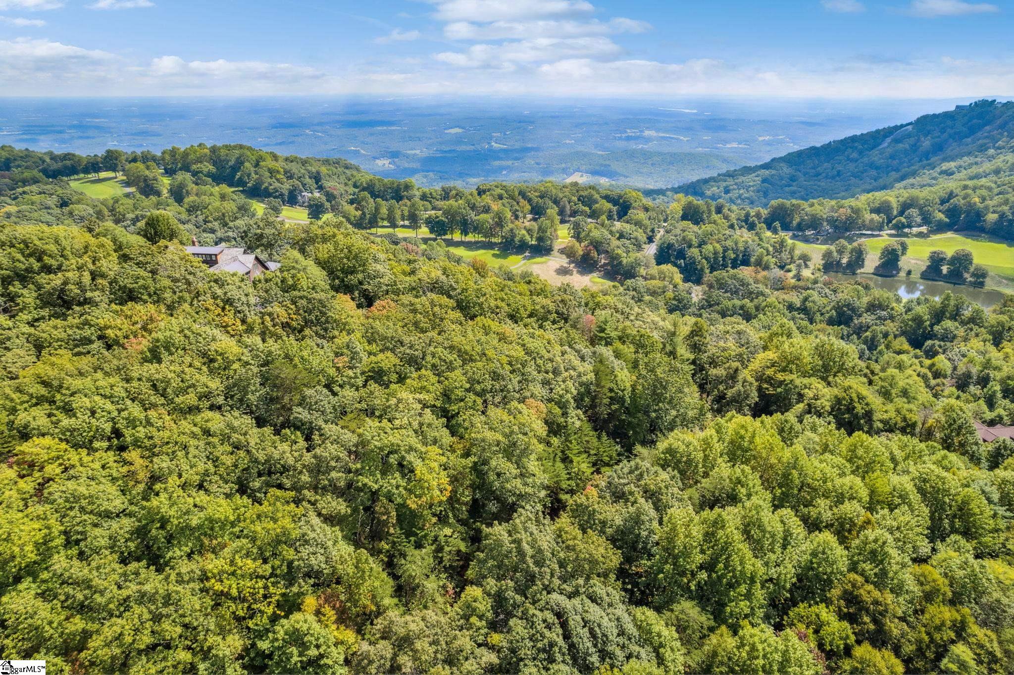 18 High Cliffe Way Landrum, SC 29356
