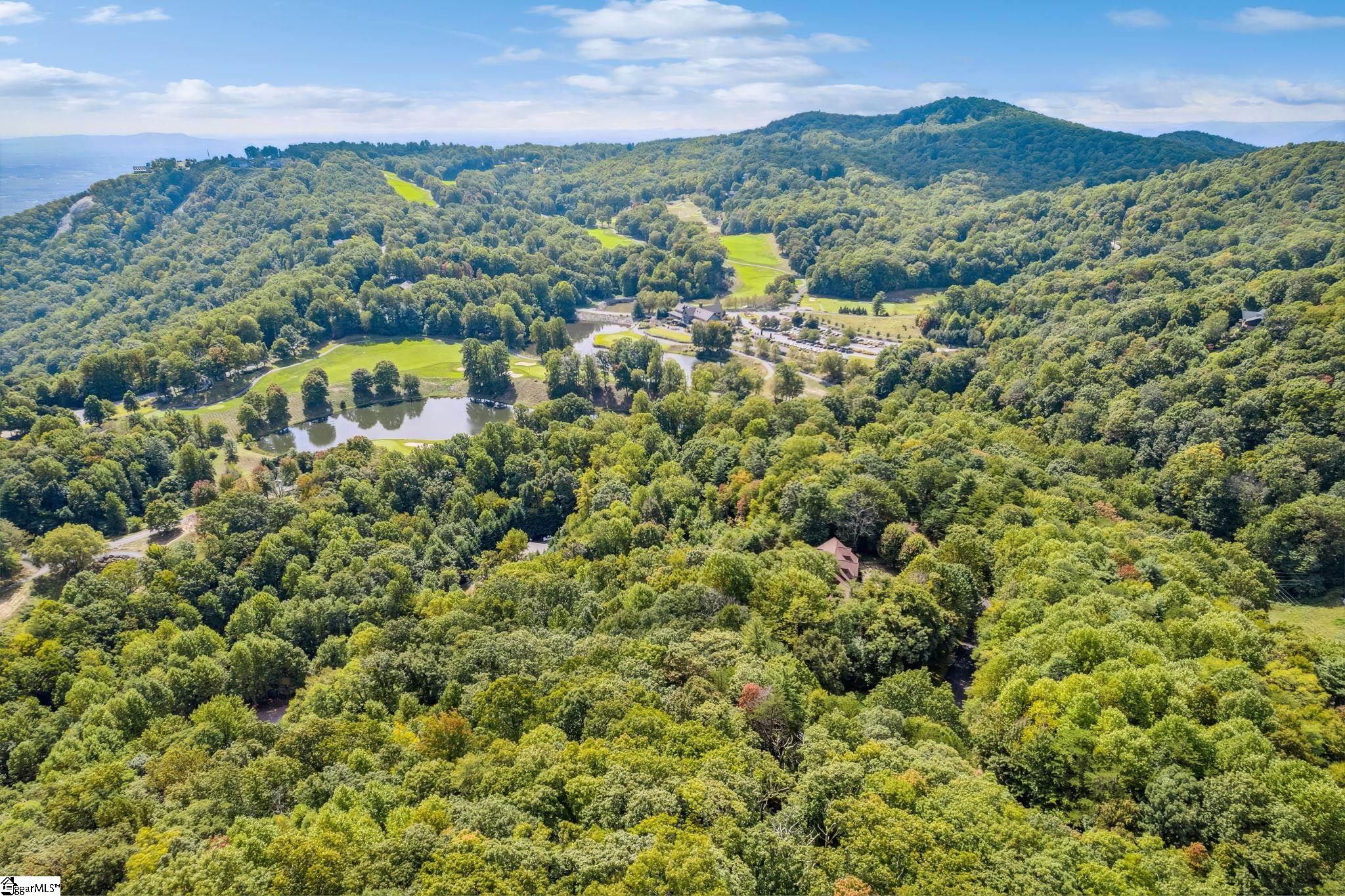 18 High Cliffe Way Landrum, SC 29356