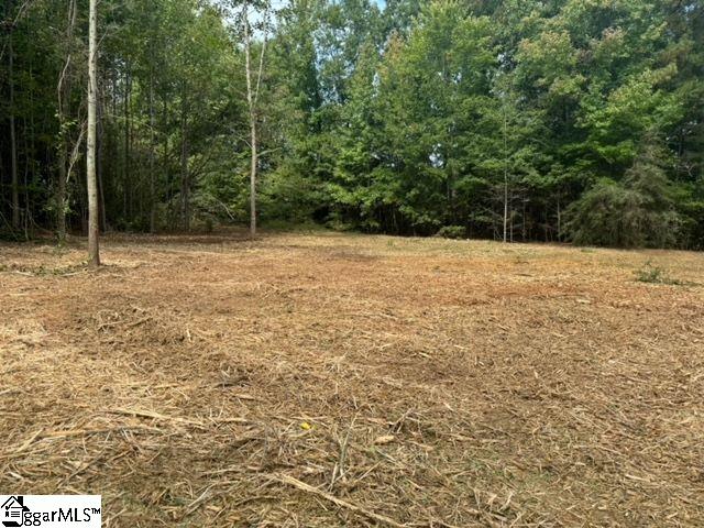 571 Highway 221 Laurens, SC 29360