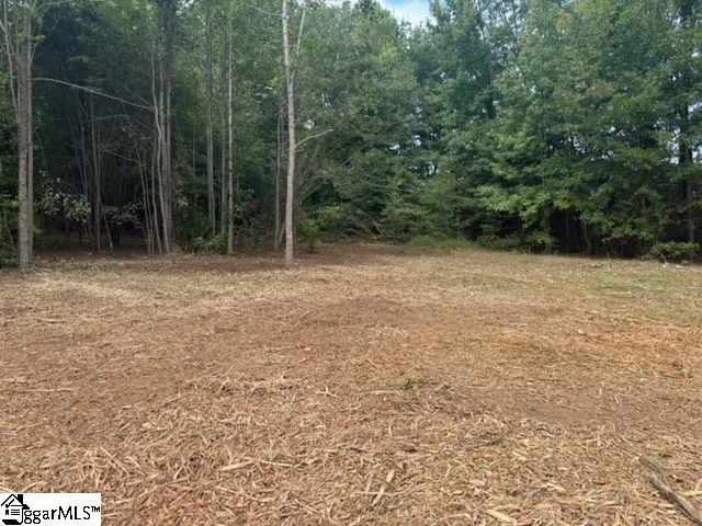 571 Highway 221 Laurens, SC 29360