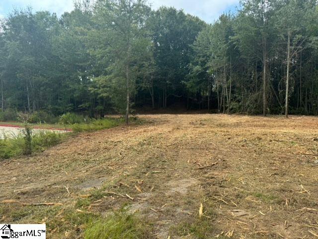 571 Highway 221 Laurens, SC 29360