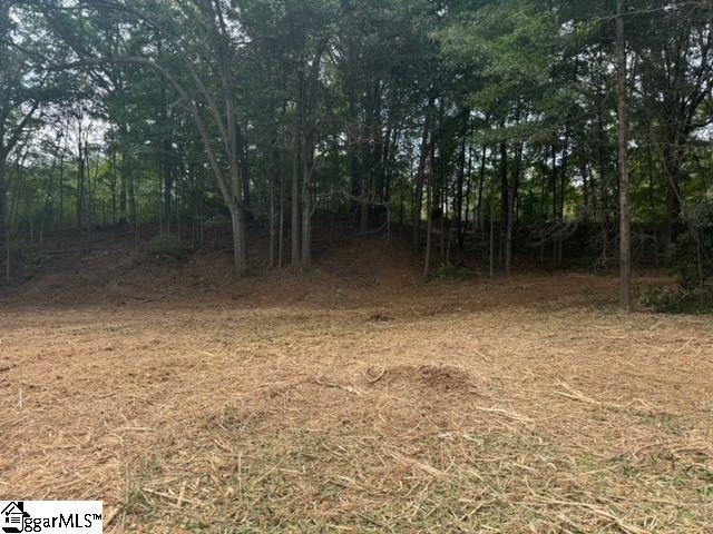 571 Highway 221 Laurens, SC 29360