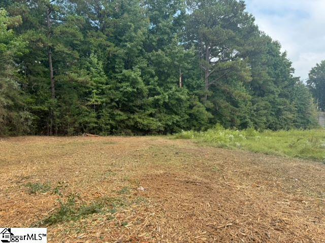 571 Highway 221 Laurens, SC 29360