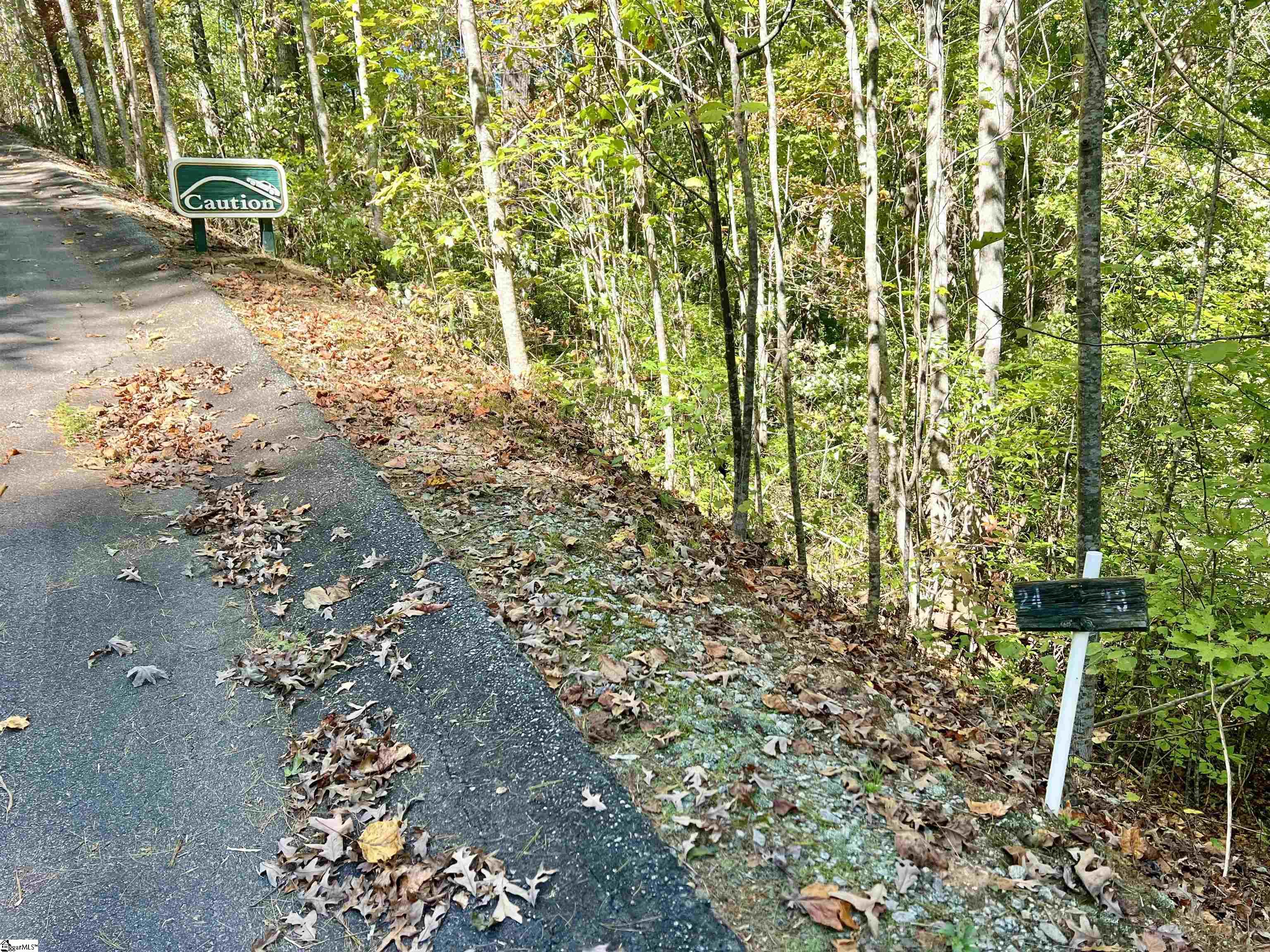 124 Falcon Crest Way Pickens, SC 29671