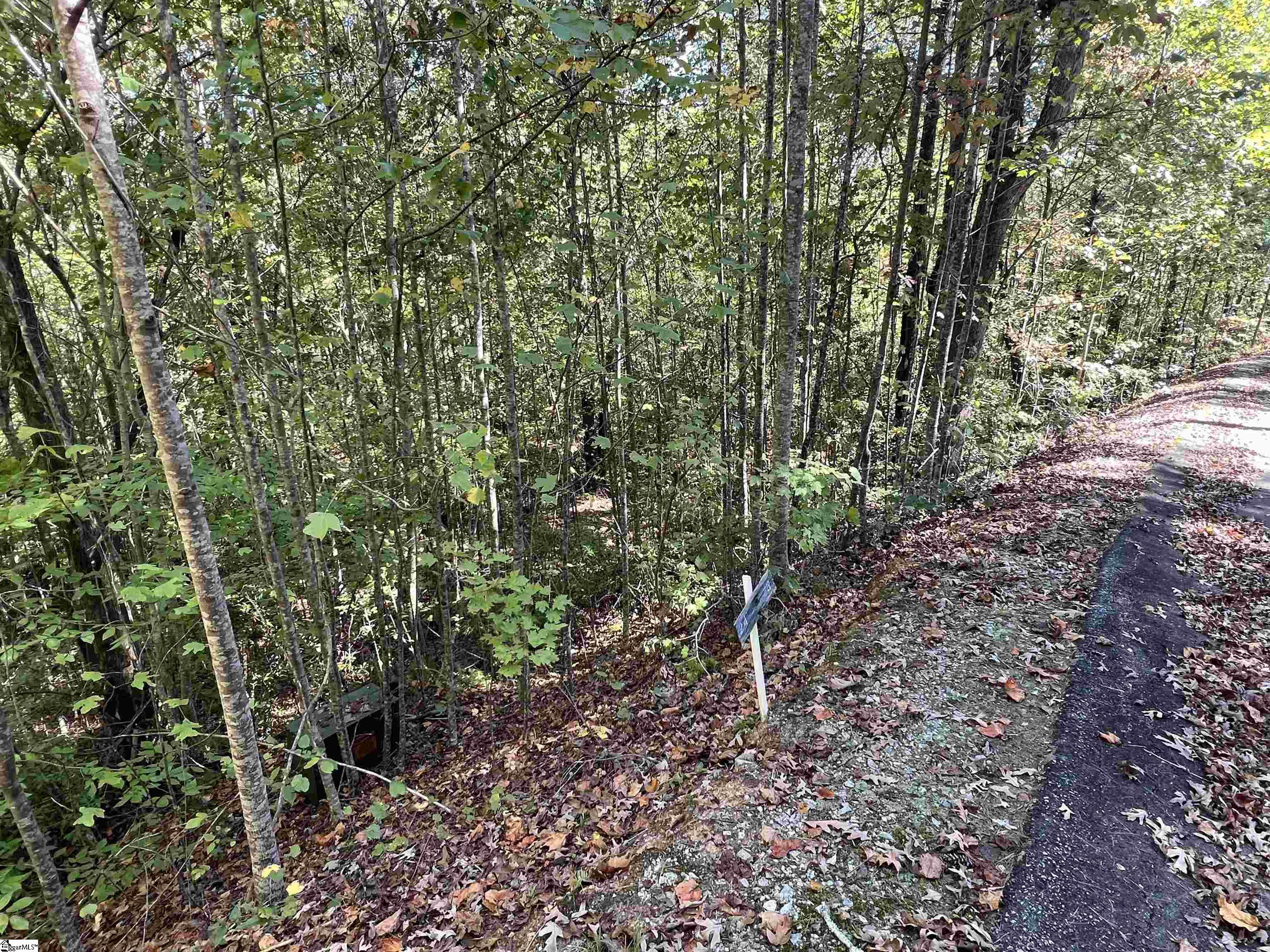 124 Falcon Crest Way Pickens, SC 29671