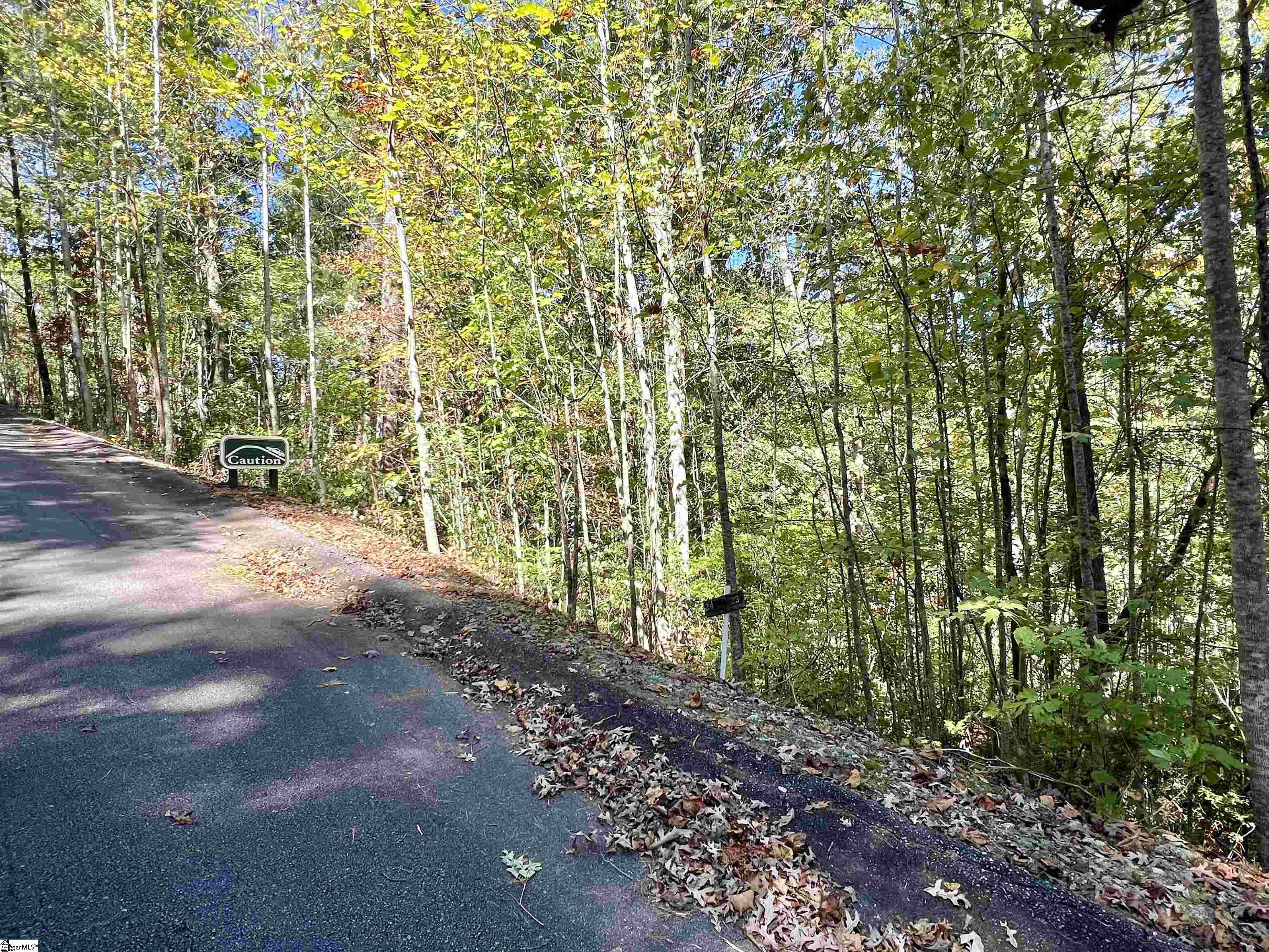 124 Falcon Crest Way Pickens, SC 29671