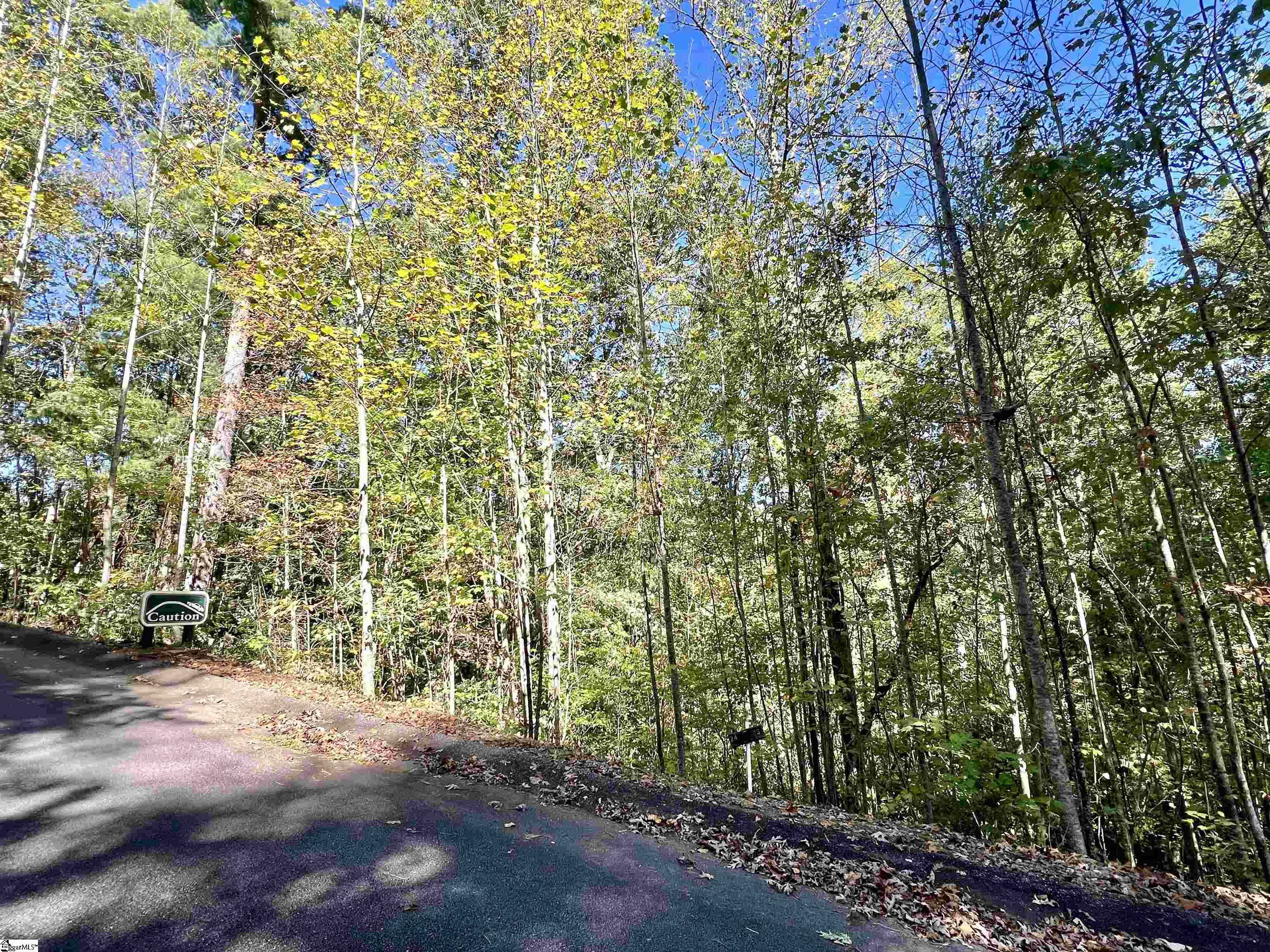124 Falcon Crest Way Pickens, SC 29671