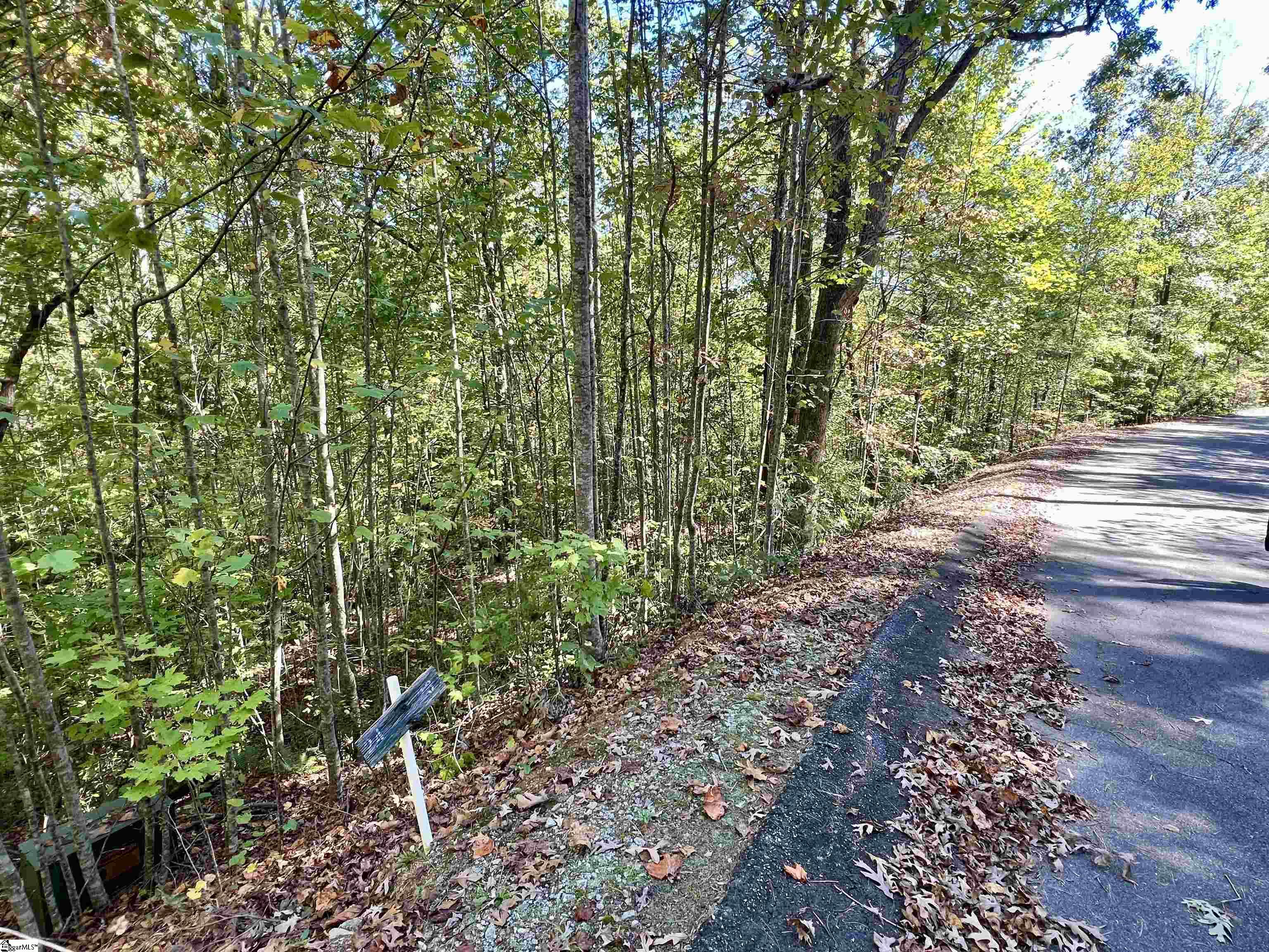 124 Falcon Crest Way Pickens, SC 29671