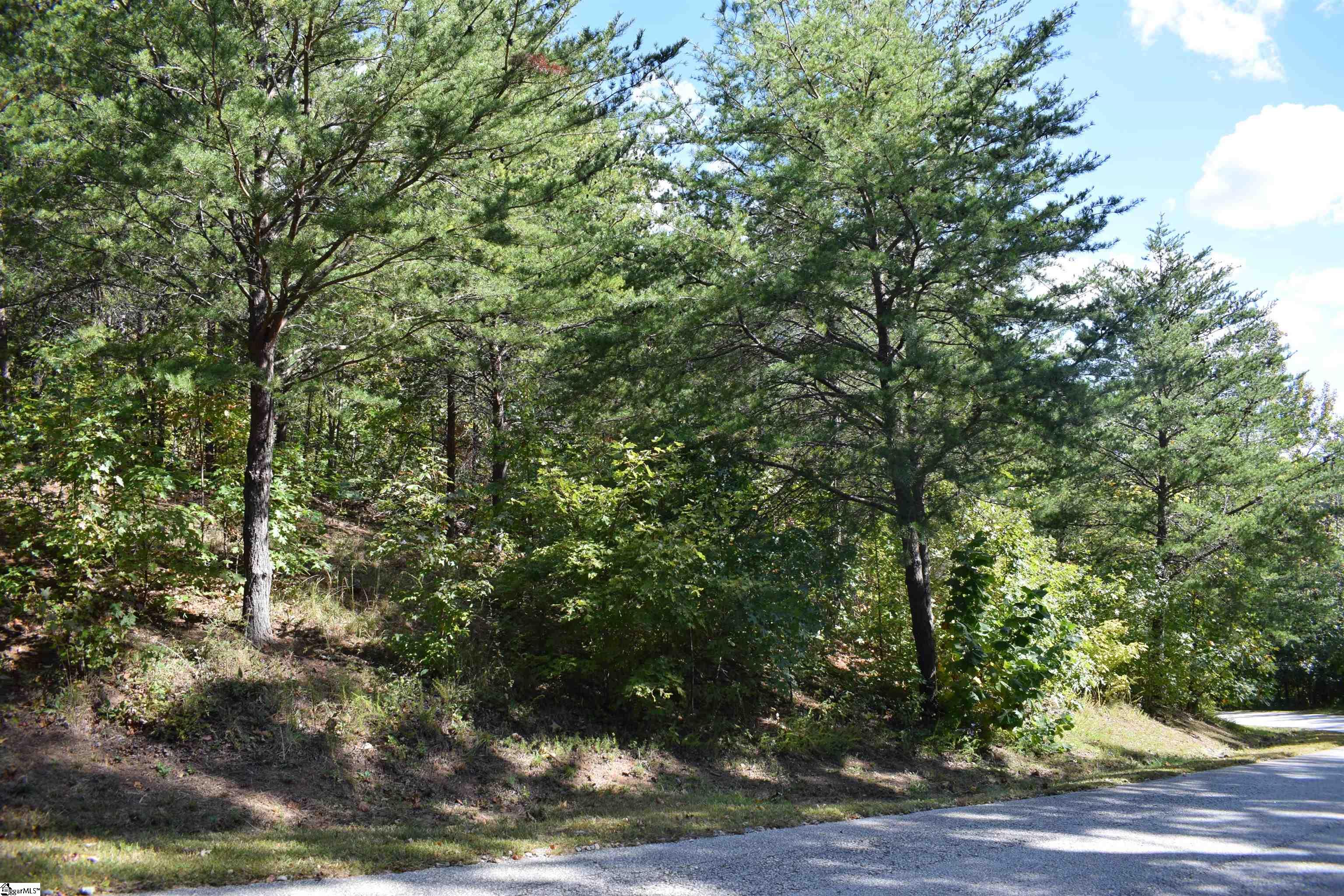Holland Drive UNIT Lot 3 Columbus, NC 28722