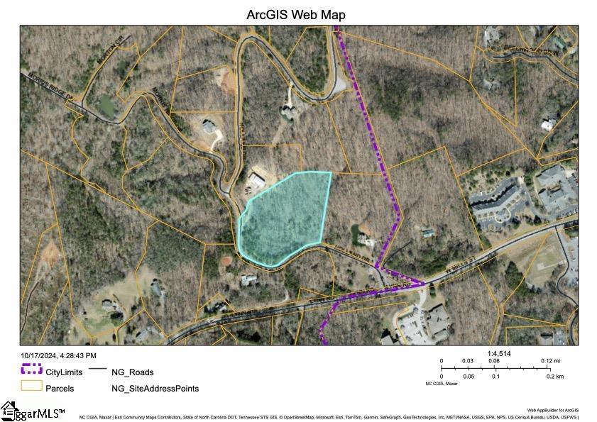 Holland Drive UNIT Lot 3 Columbus, NC 28722