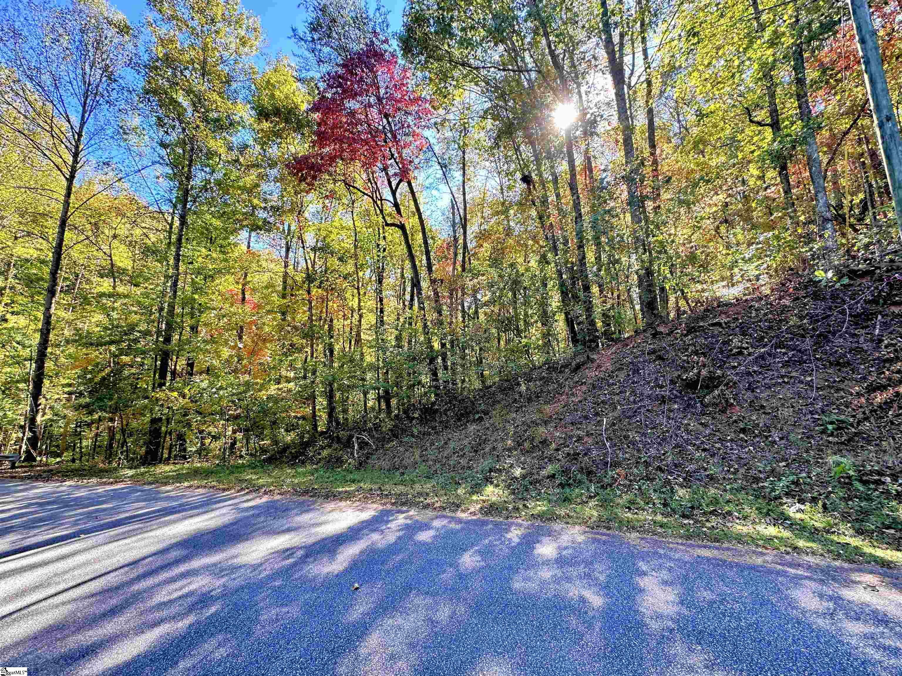 089 Forest Drive UNIT lot 89 Travelers Rest, SC 29690
