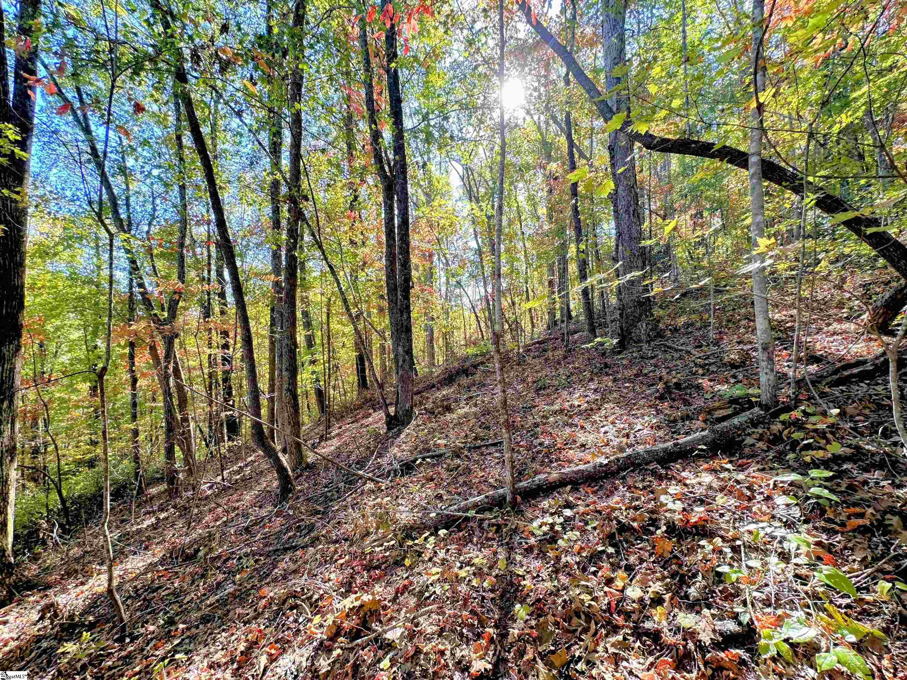 089 Forest Drive UNIT lot 89 Travelers Rest, SC 29690