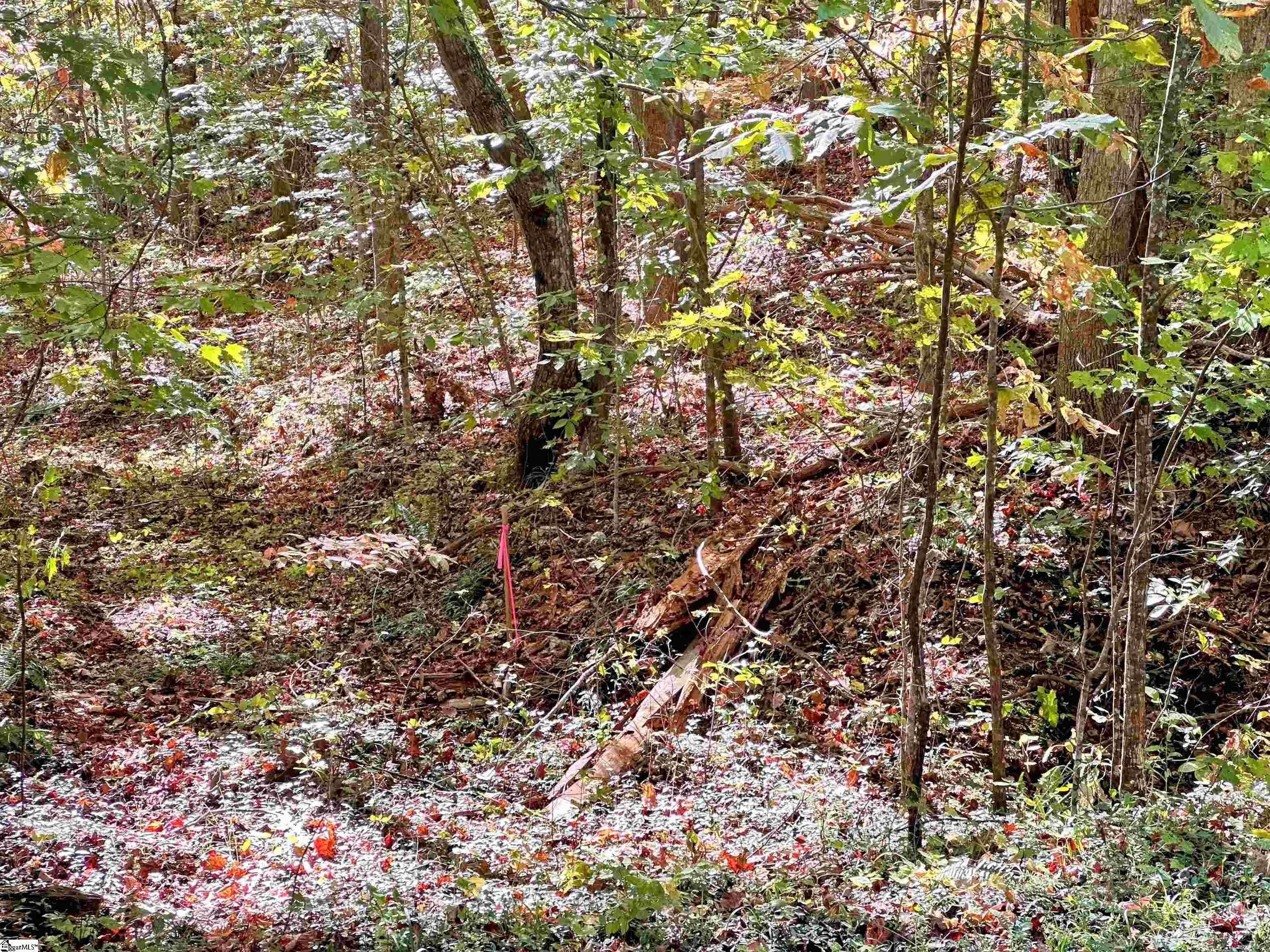 088 Forest Drive UNIT lot 88 Travelers Rest, SC 29690