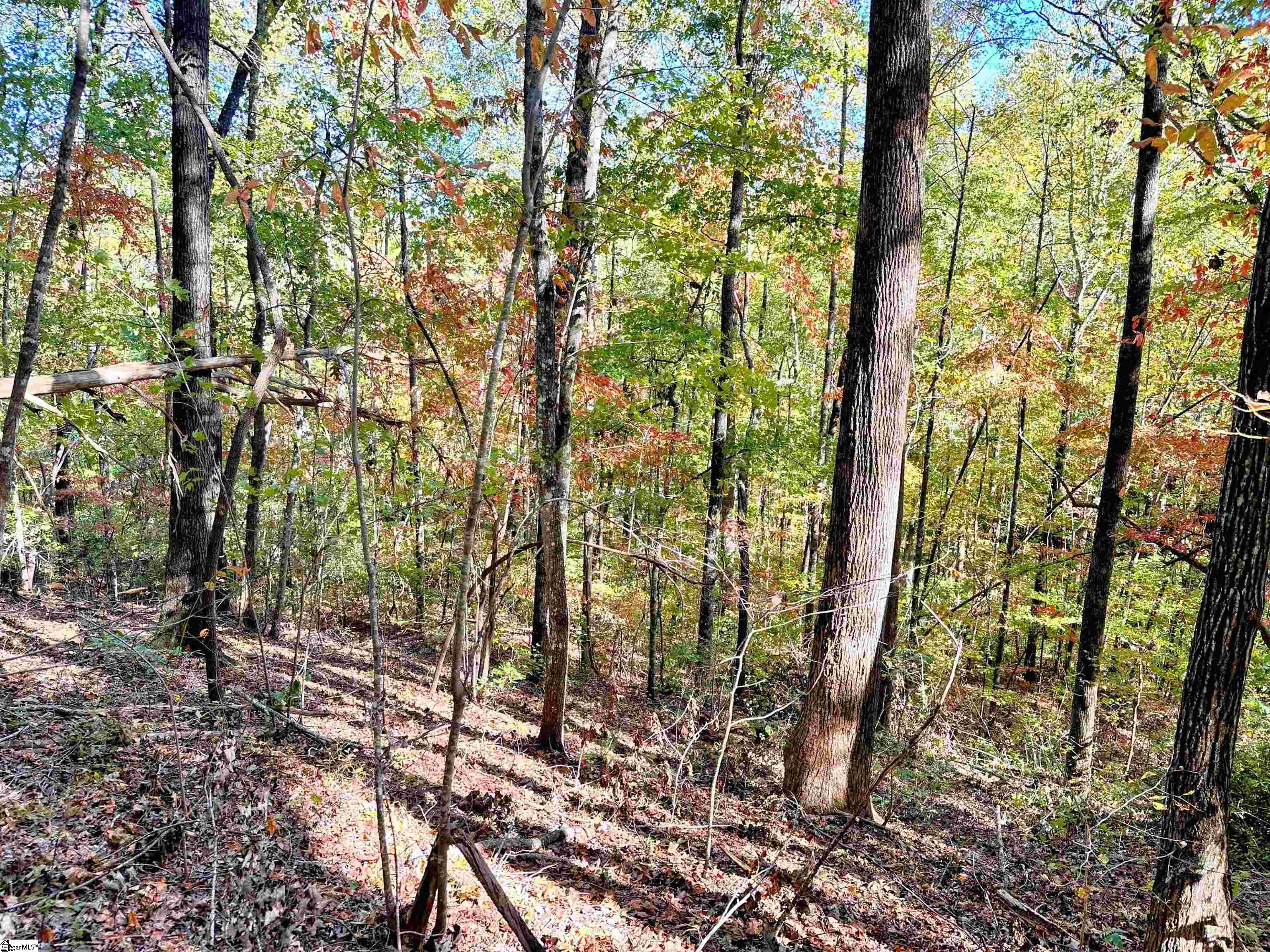 088 Forest Drive UNIT lot 88 Travelers Rest, SC 29690