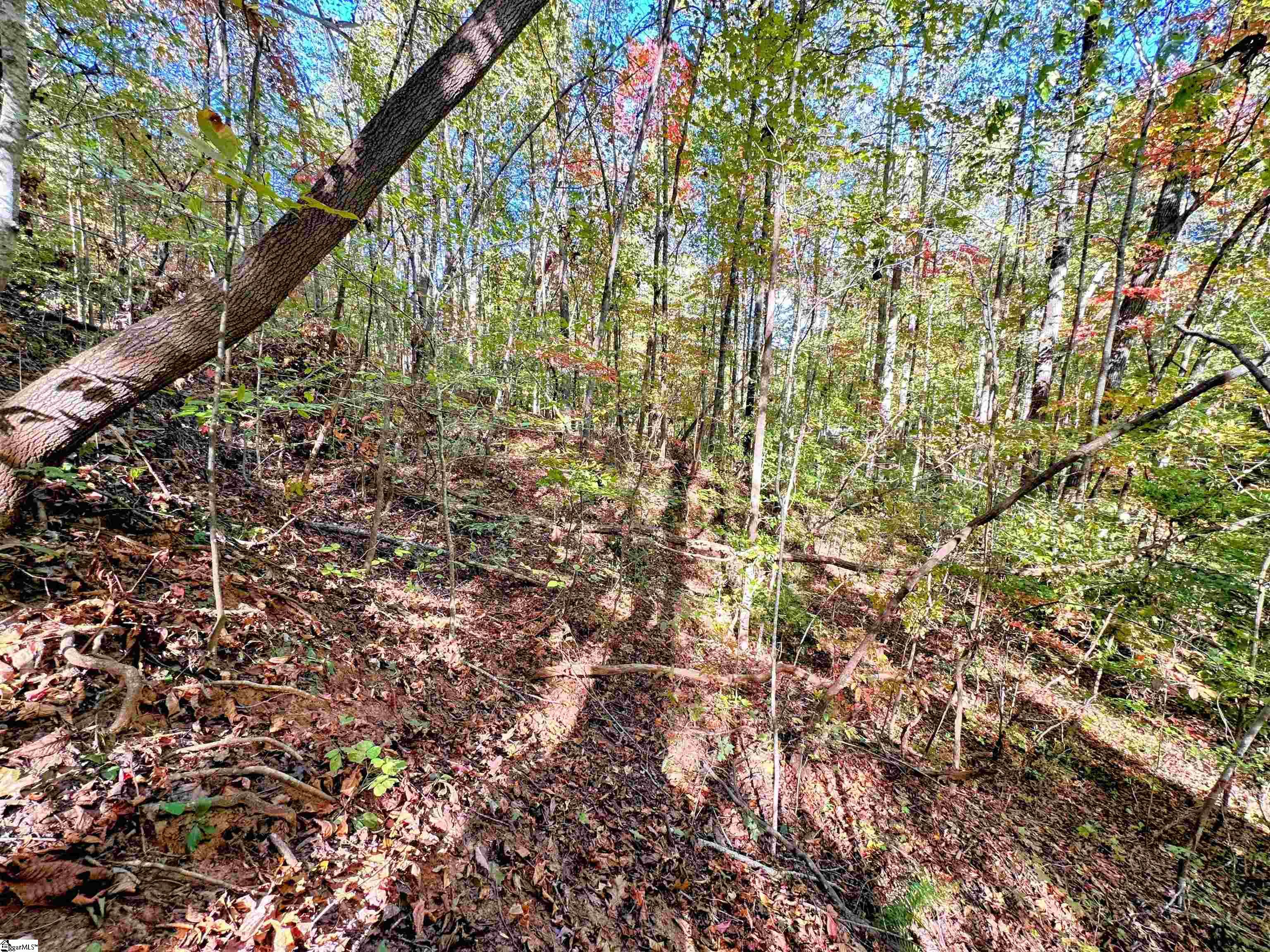 088 Forest Drive UNIT lot 88 Travelers Rest, SC 29690