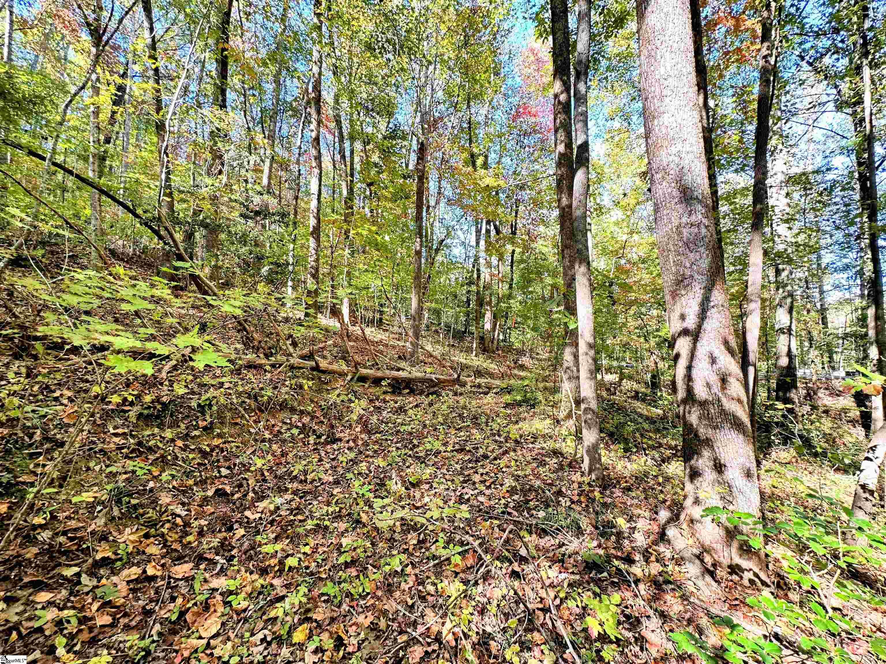 088 Forest Drive UNIT lot 88 Travelers Rest, SC 29690