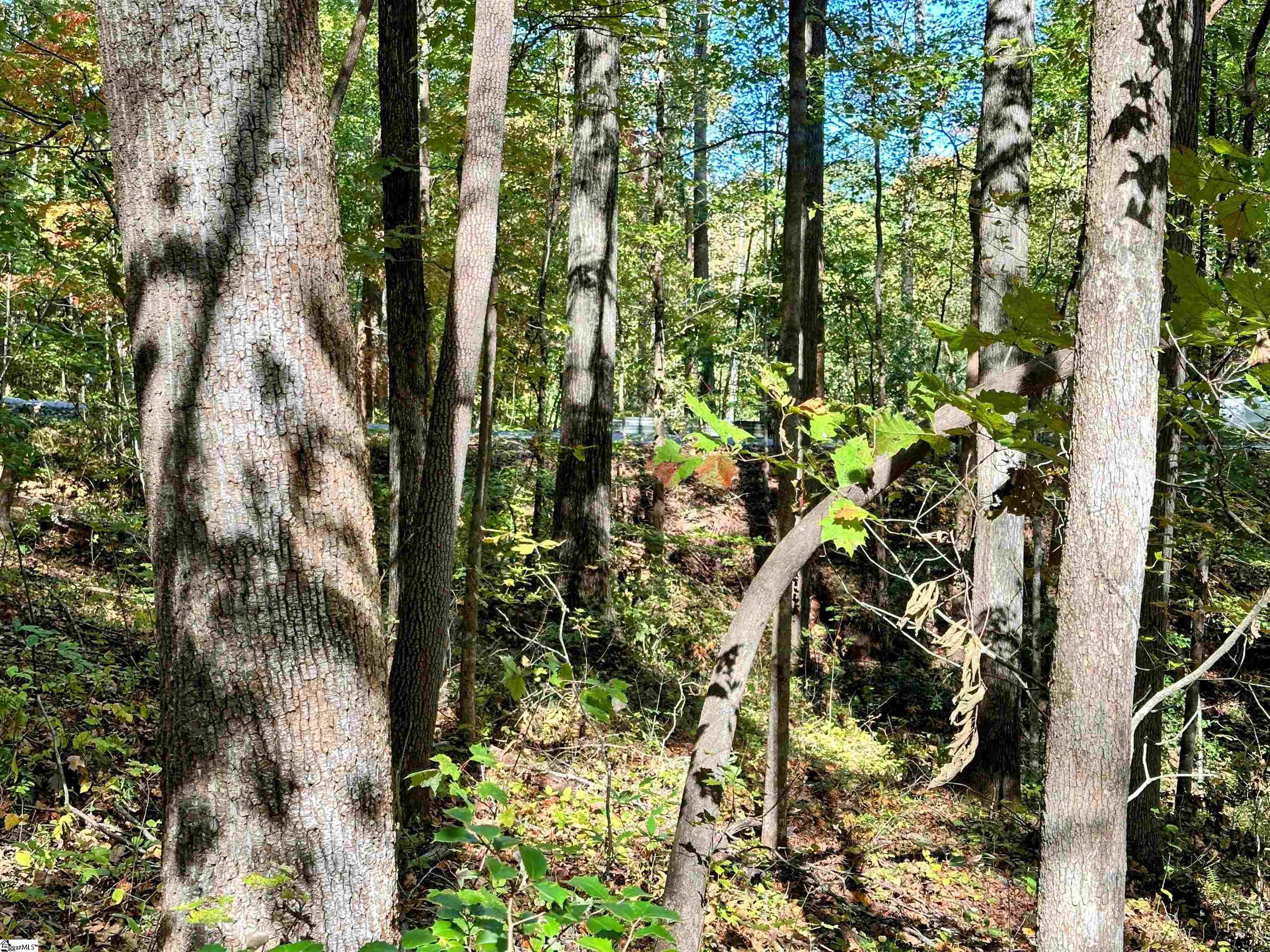 088 Forest Drive UNIT lot 88 Travelers Rest, SC 29690
