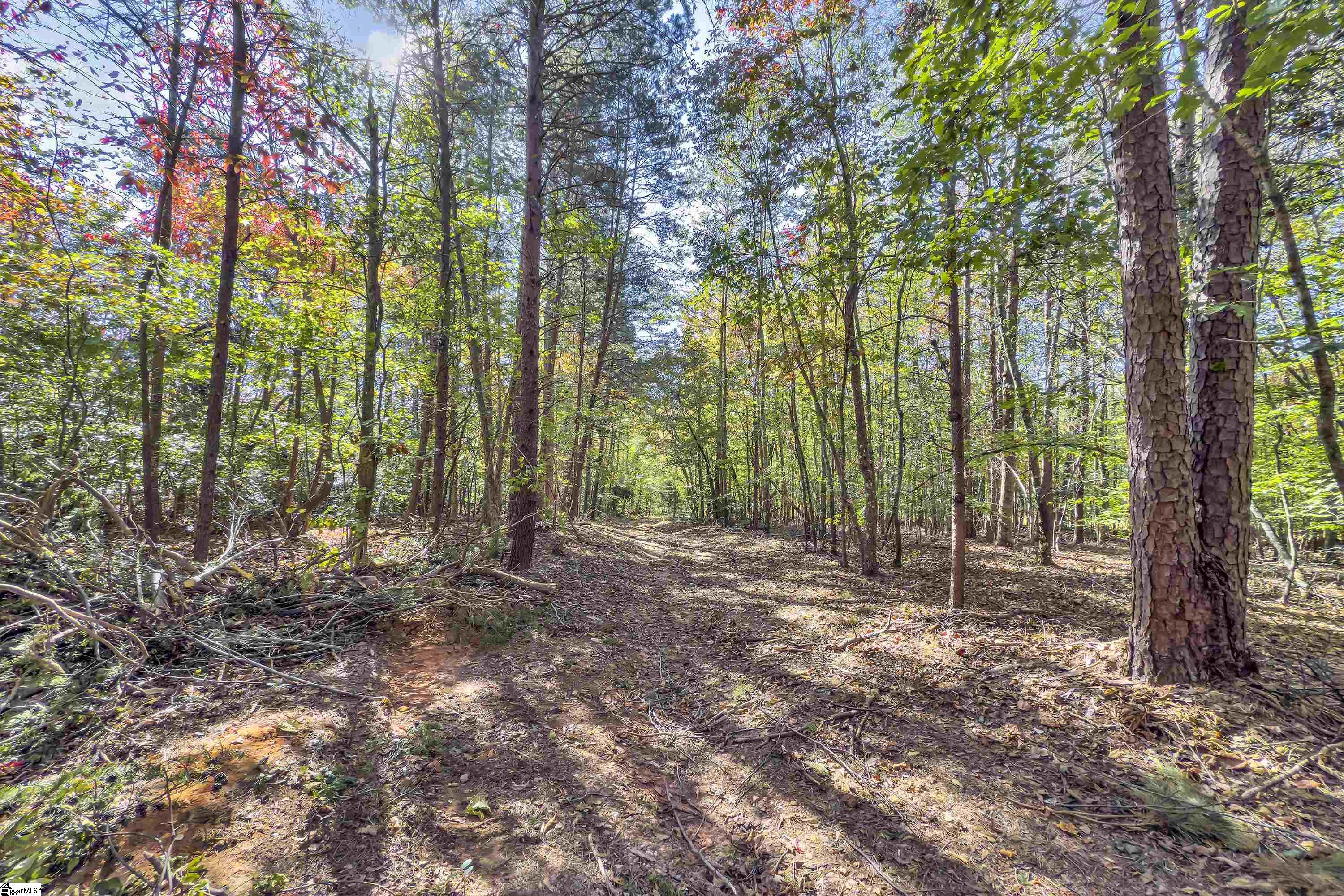 Old Converse Road Spartanburg, SC 29301