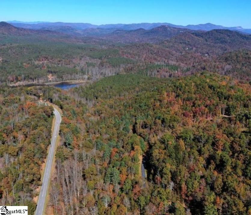 110 Bernhardt Way Pickens, SC 29671
