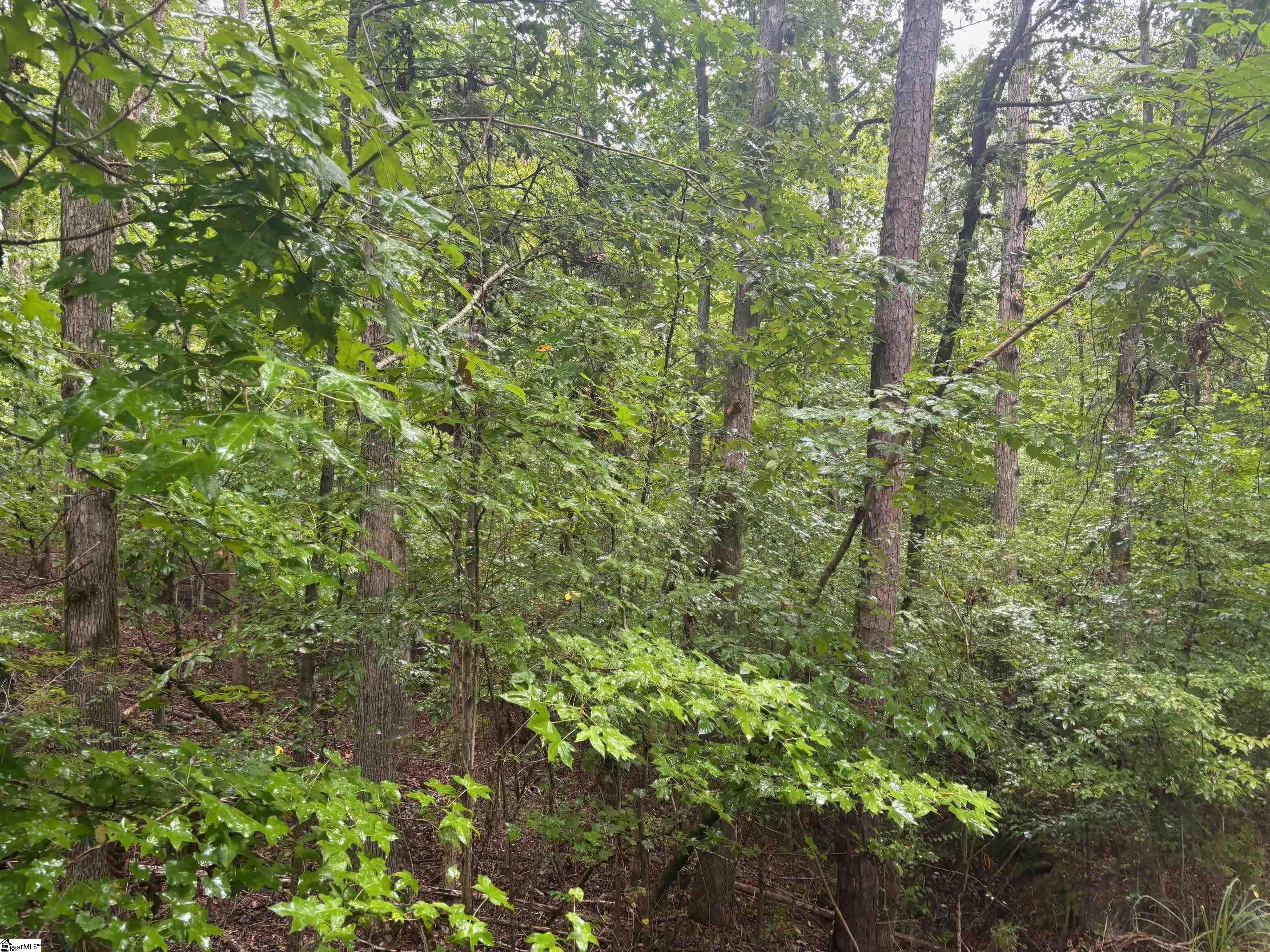 Lake Forest Drive Abbeville, SC 29620-0