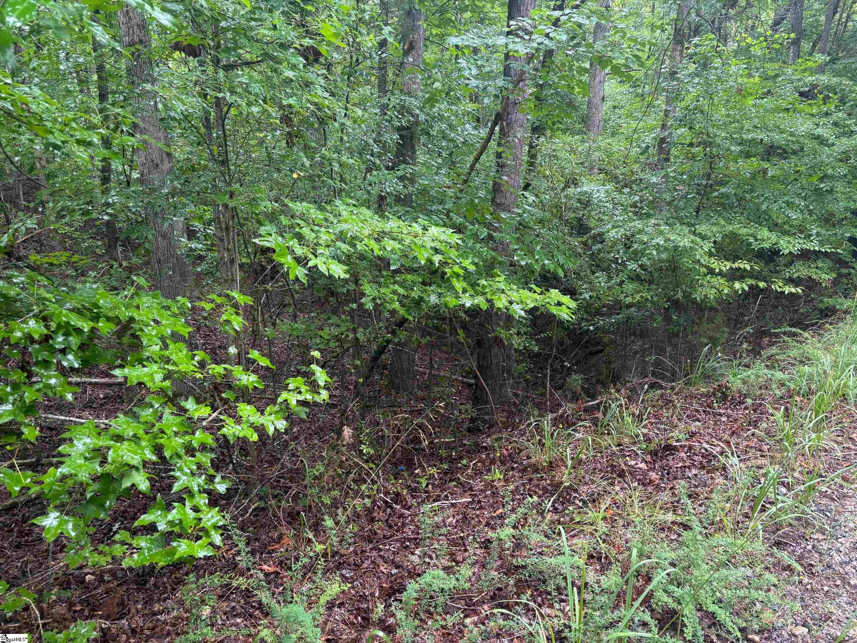 Lake Forest Drive Abbeville, SC 29620-0