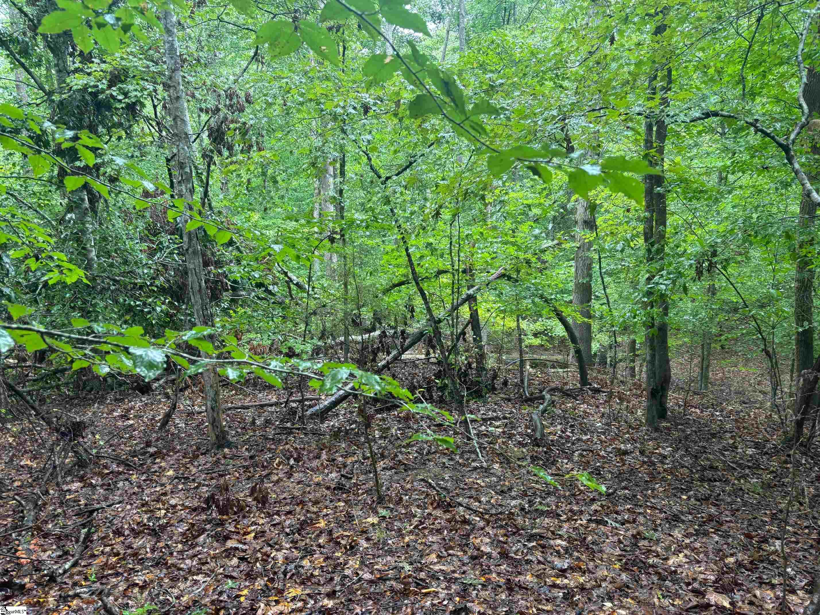 Lake Forest Drive Abbeville, SC 29620-0