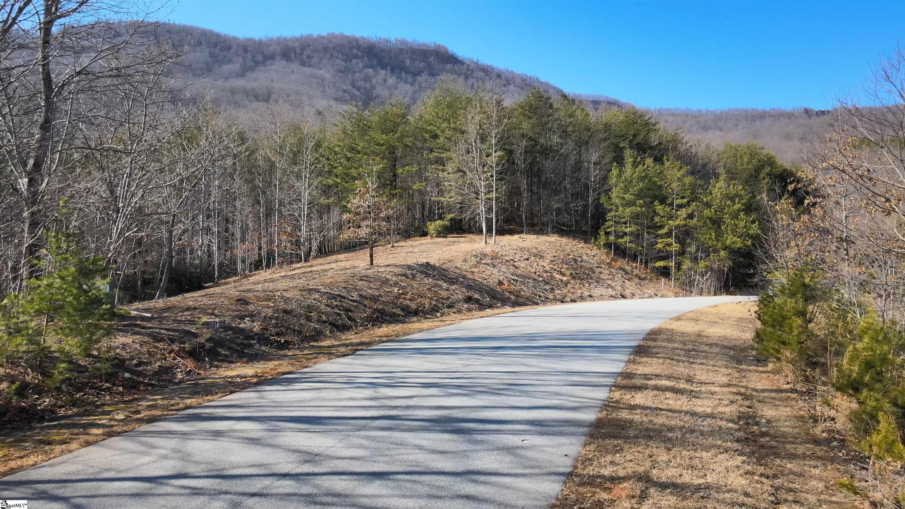 00 Birkdale Drive Mill Spring, NC 28756