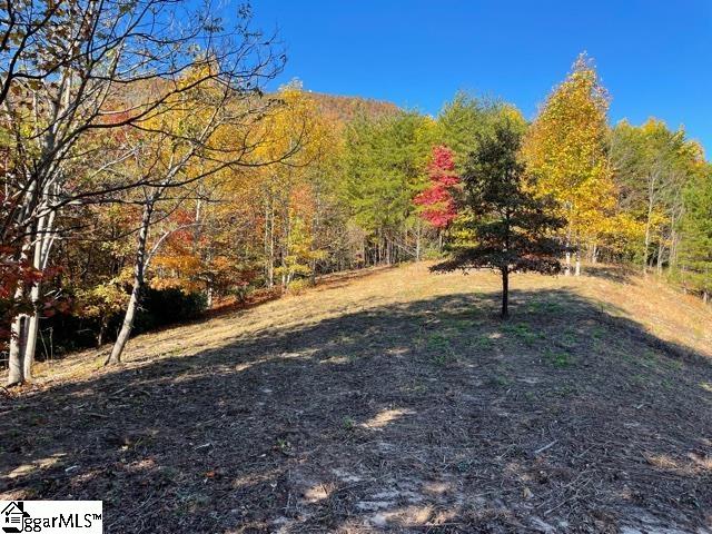 00 Birkdale Drive Mill Spring, NC 28756