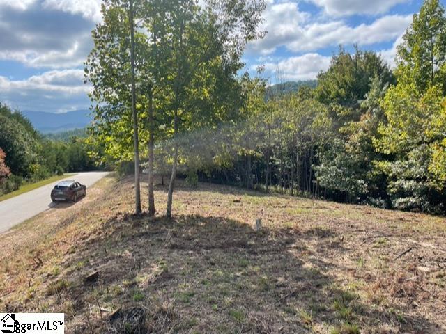 00 Birkdale Drive Mill Spring, NC 28756