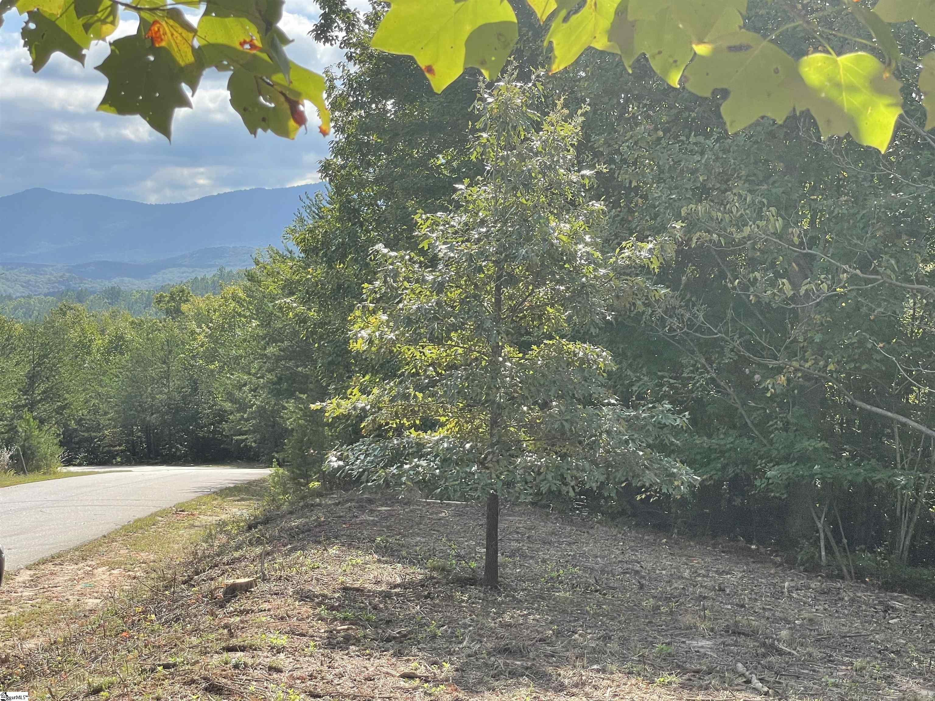 00 Birkdale Drive Mill Spring, NC 28756