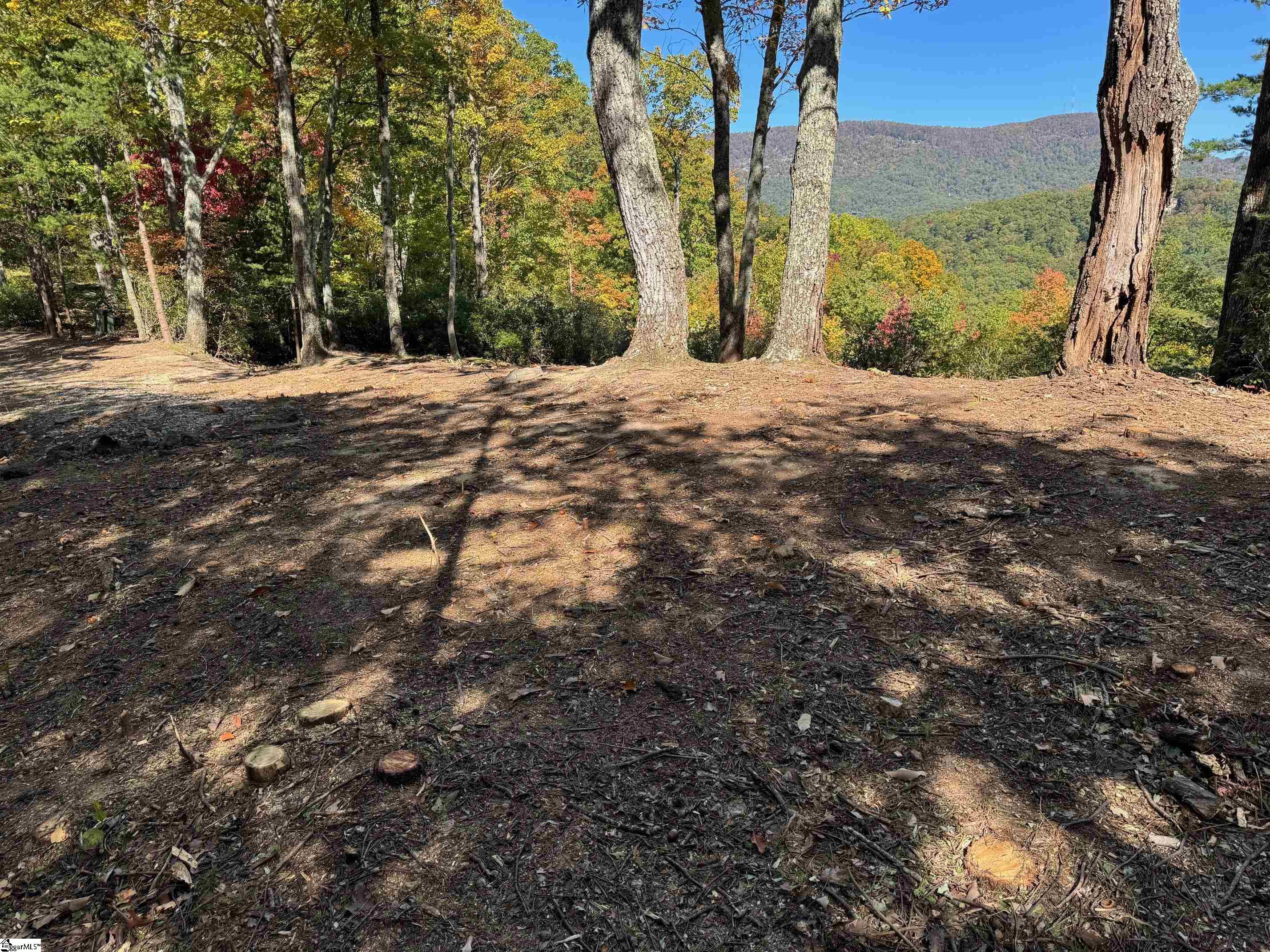 112 Ridge Pass Way Landrum, SC 29356