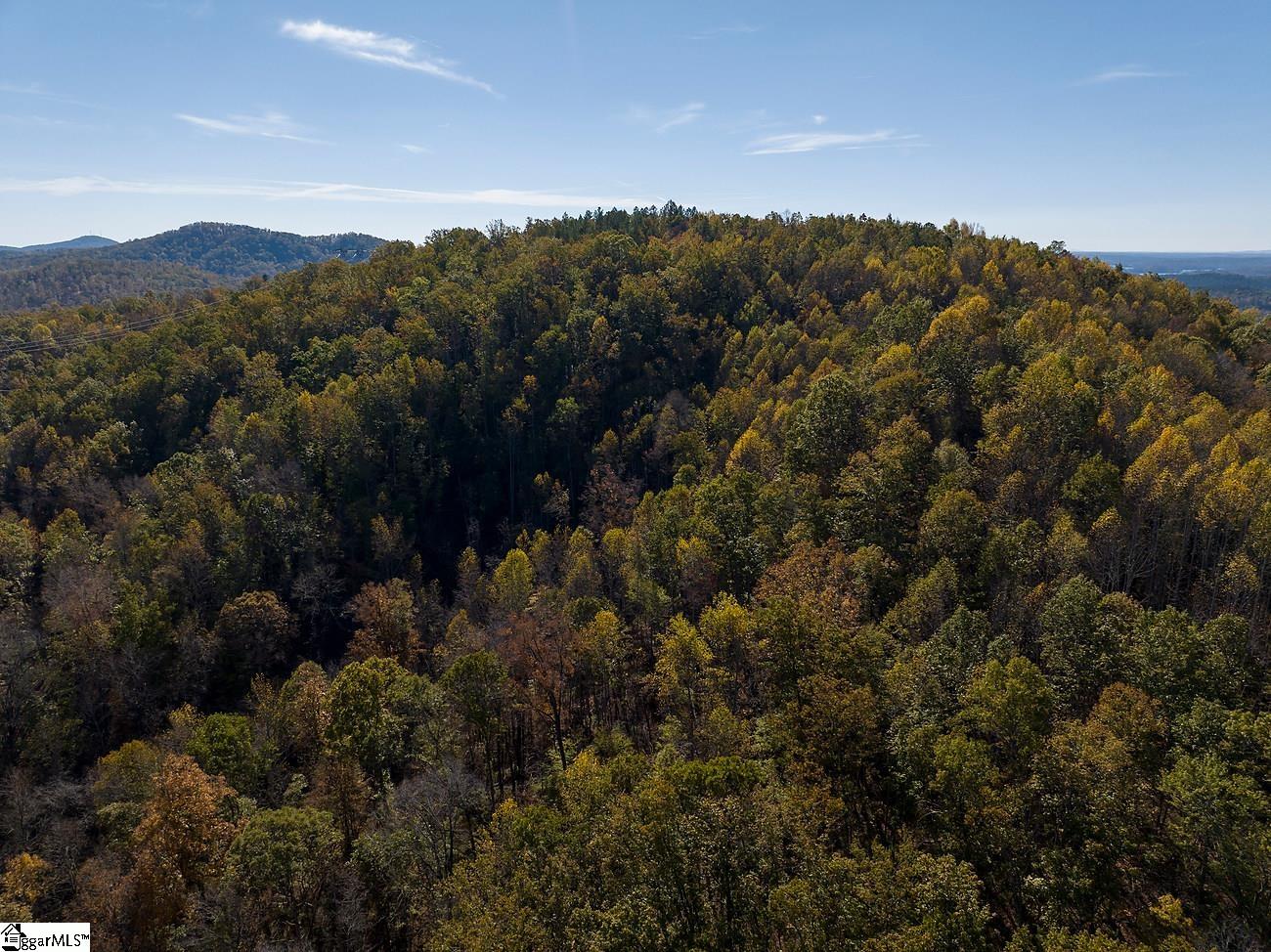 Shady Grove Road Pickens, SC 29685