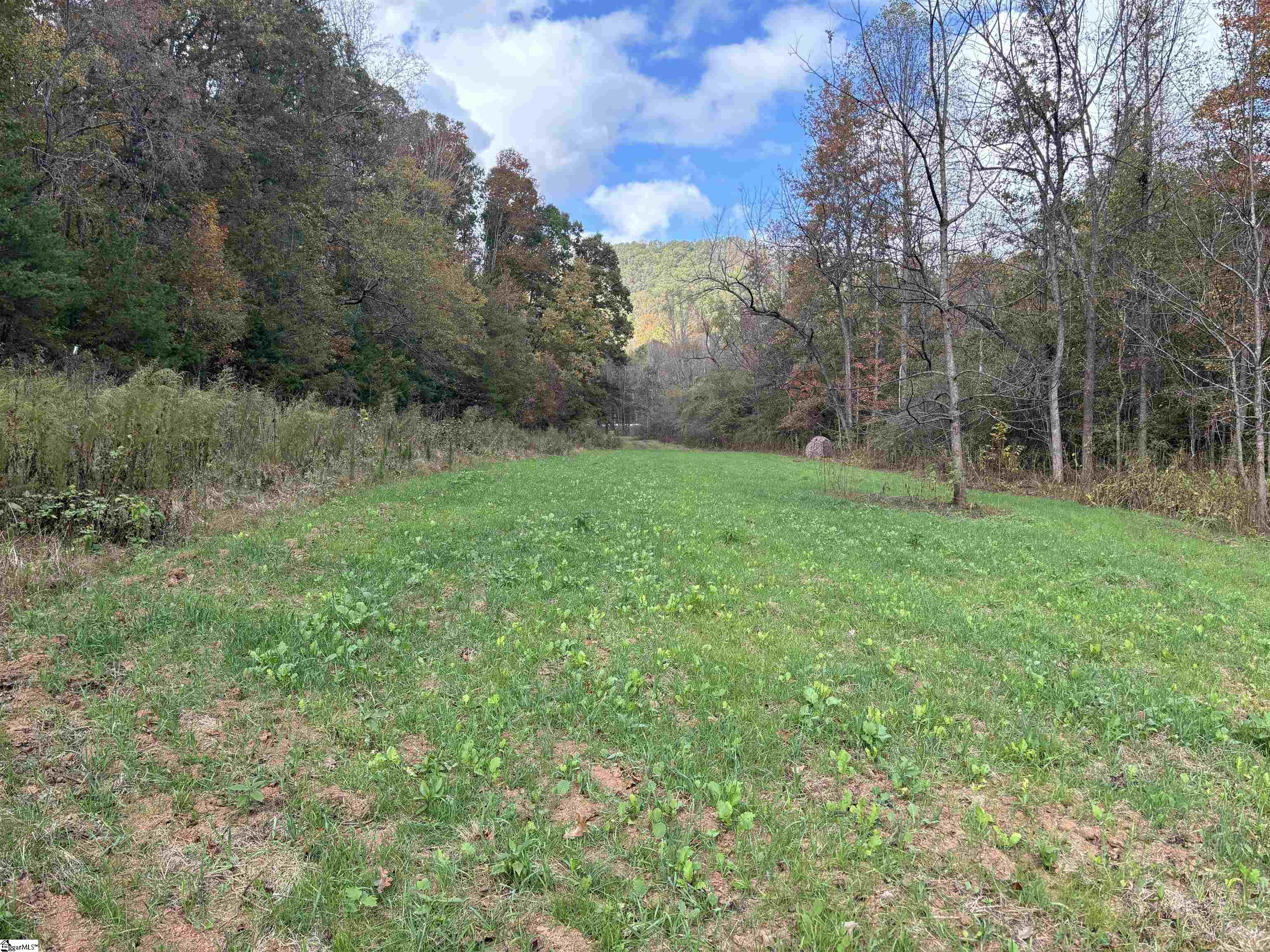 Shady Grove Road Pickens, SC 29685