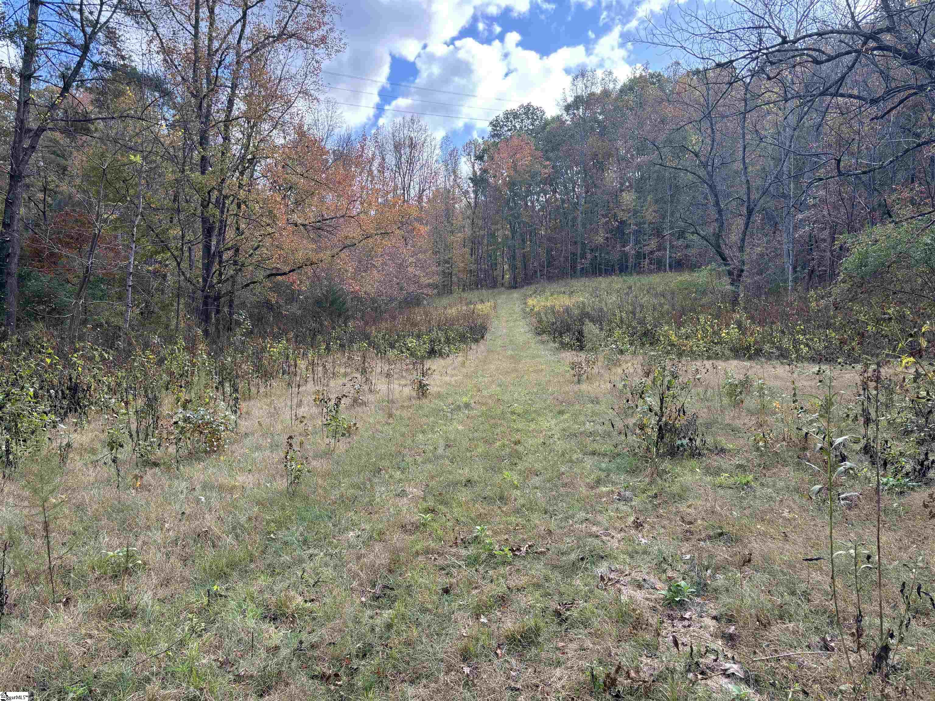 Shady Grove Road Pickens, SC 29685