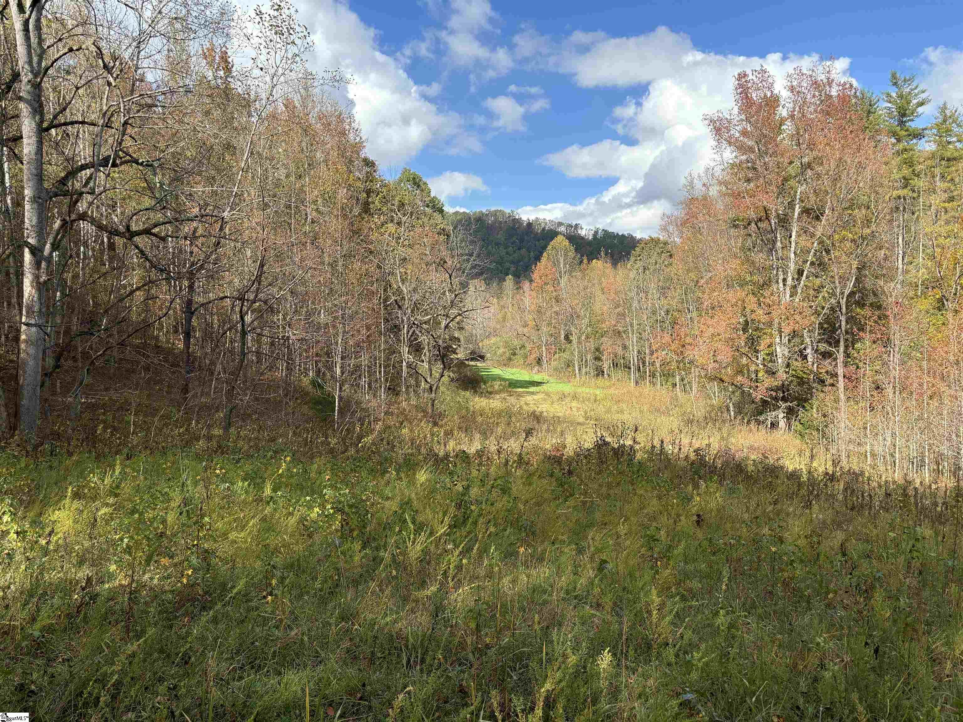 Shady Grove Road Pickens, SC 29685