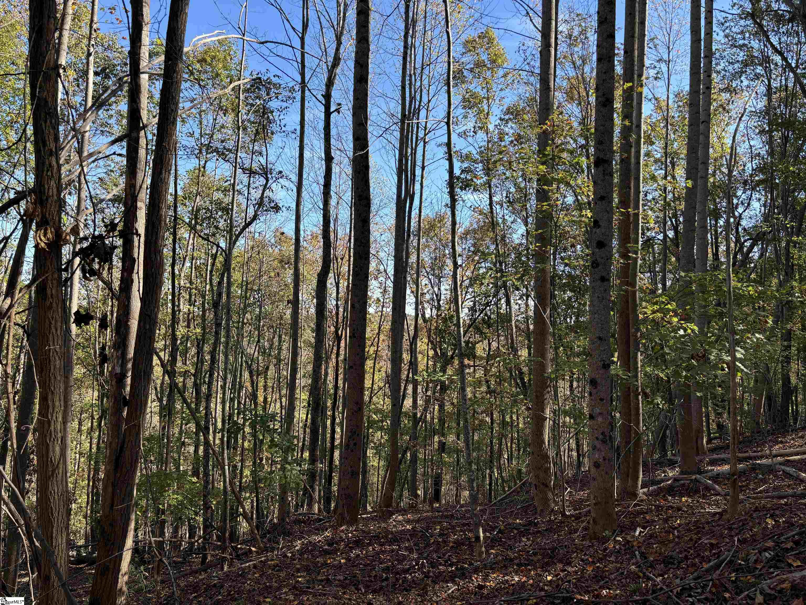 Shady Grove Road Pickens, SC 29685
