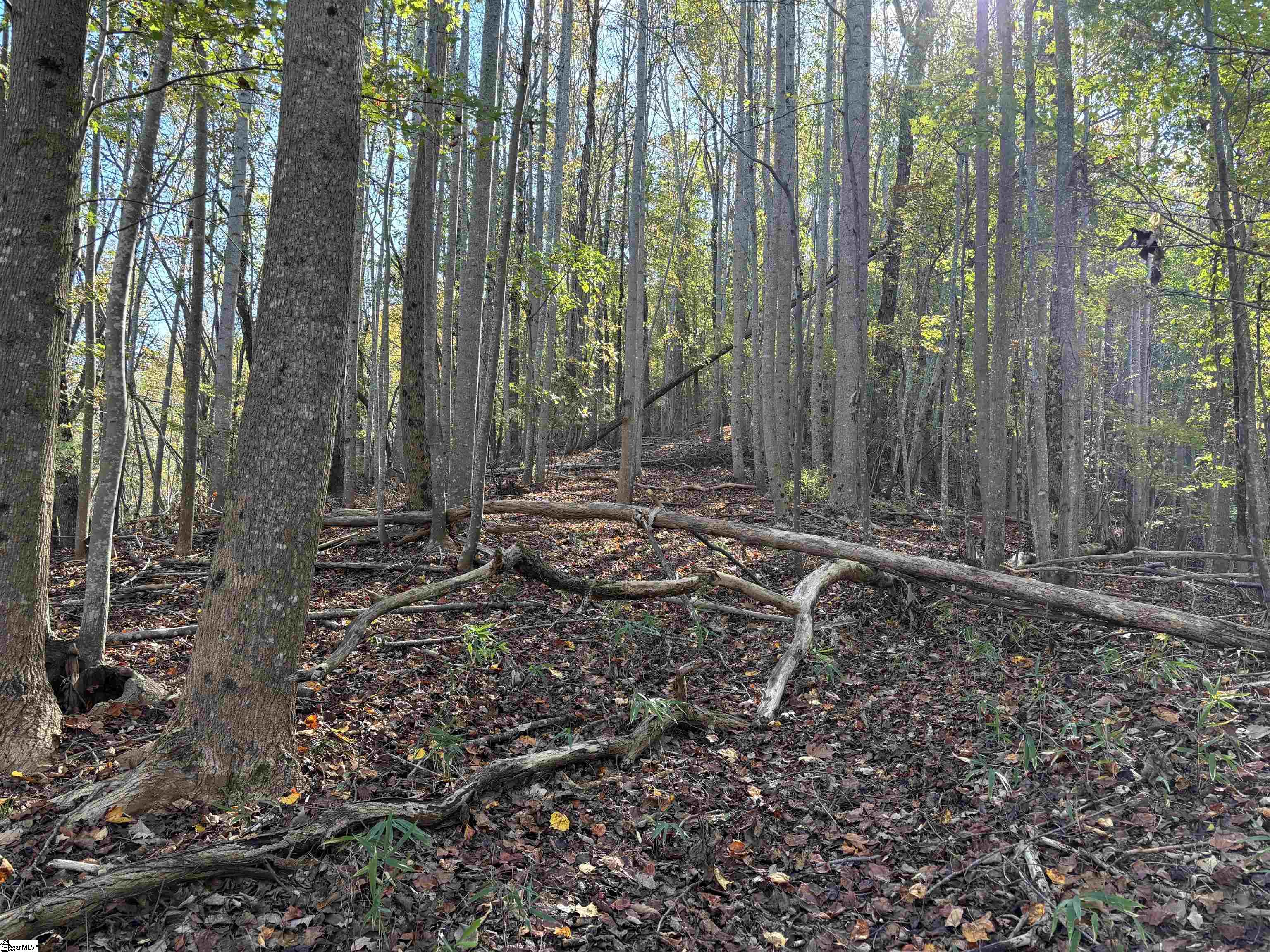 Shady Grove Road Pickens, SC 29685