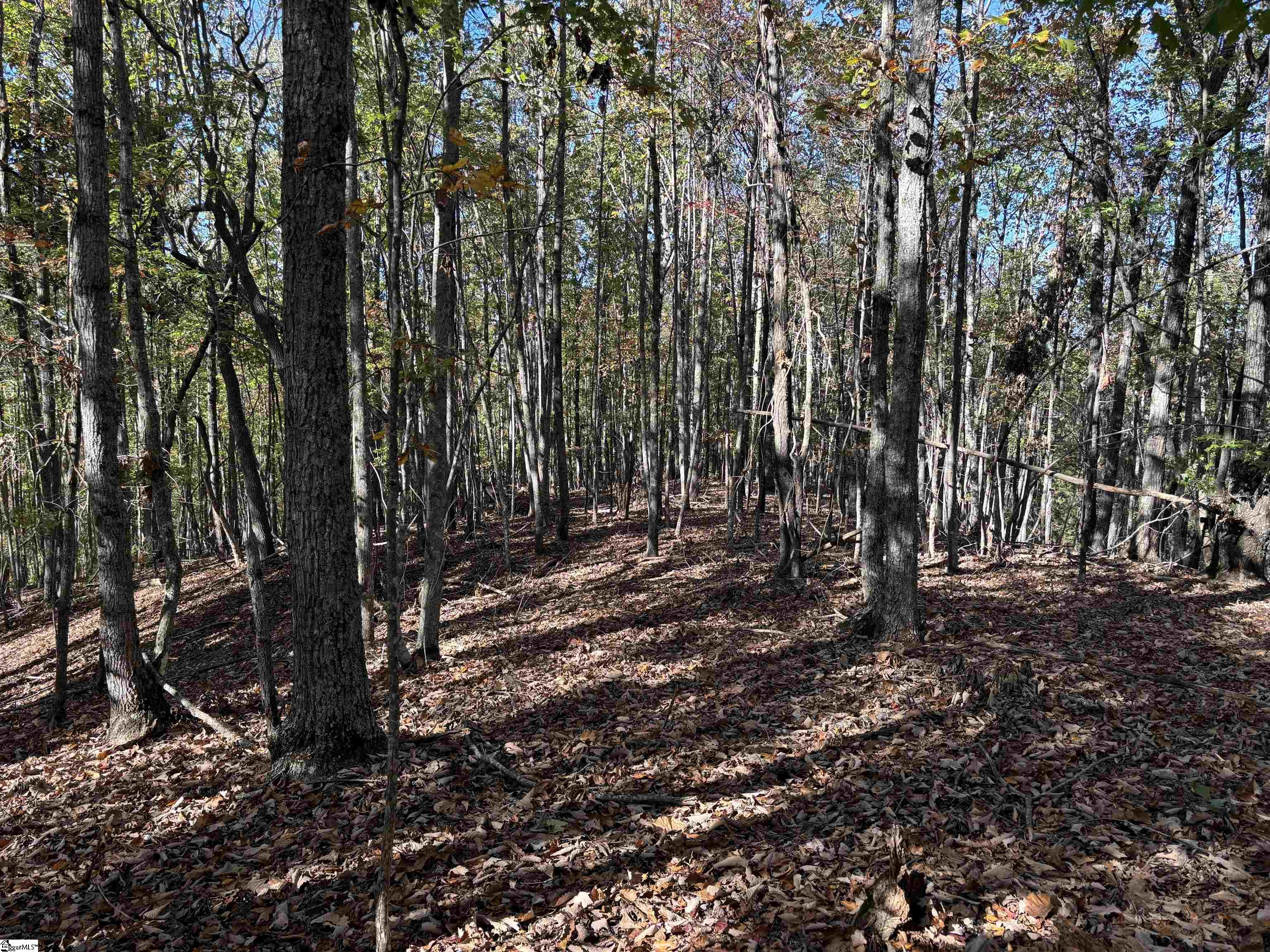 Shady Grove Road Pickens, SC 29685
