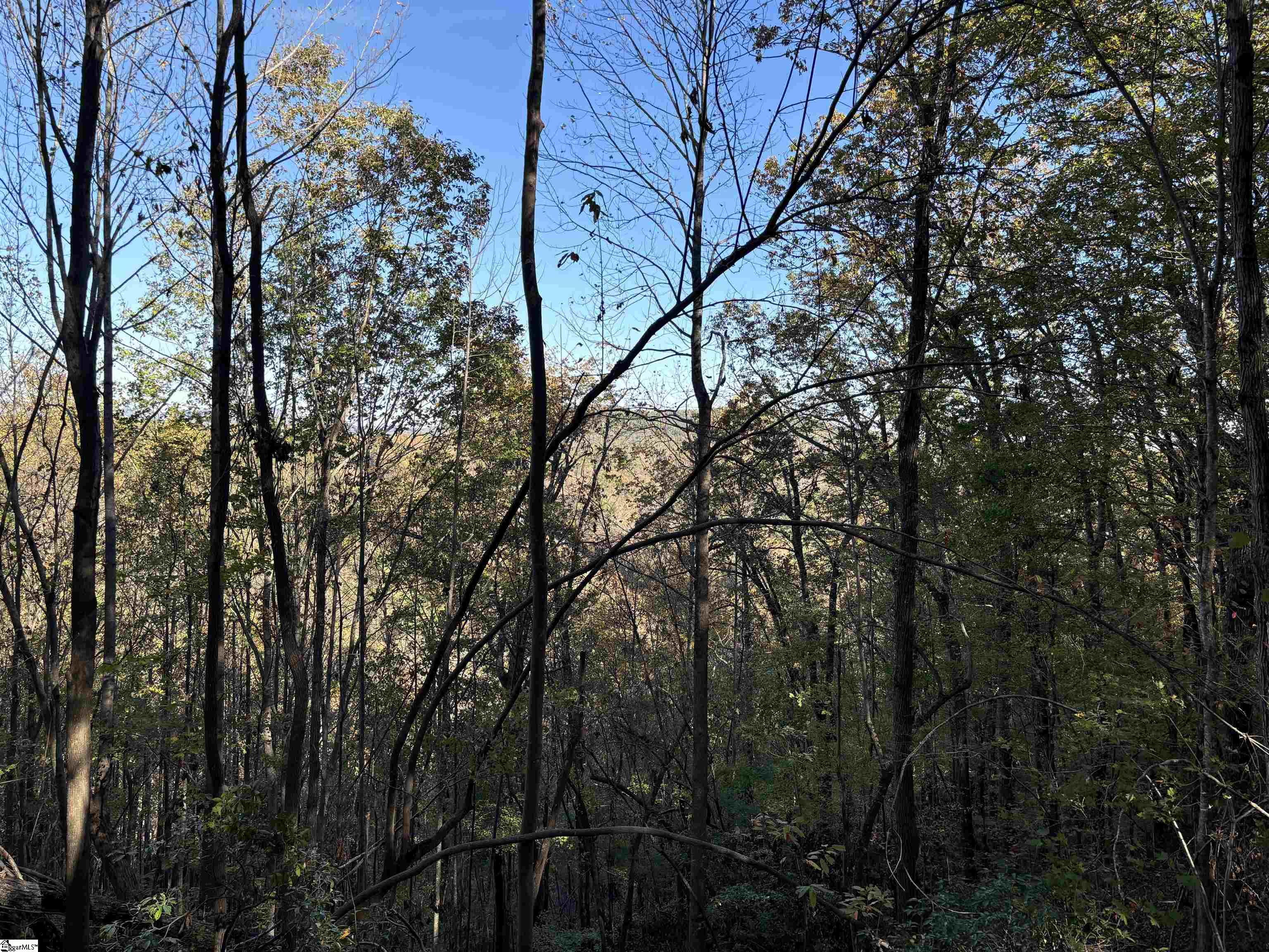 Shady Grove Road Pickens, SC 29685