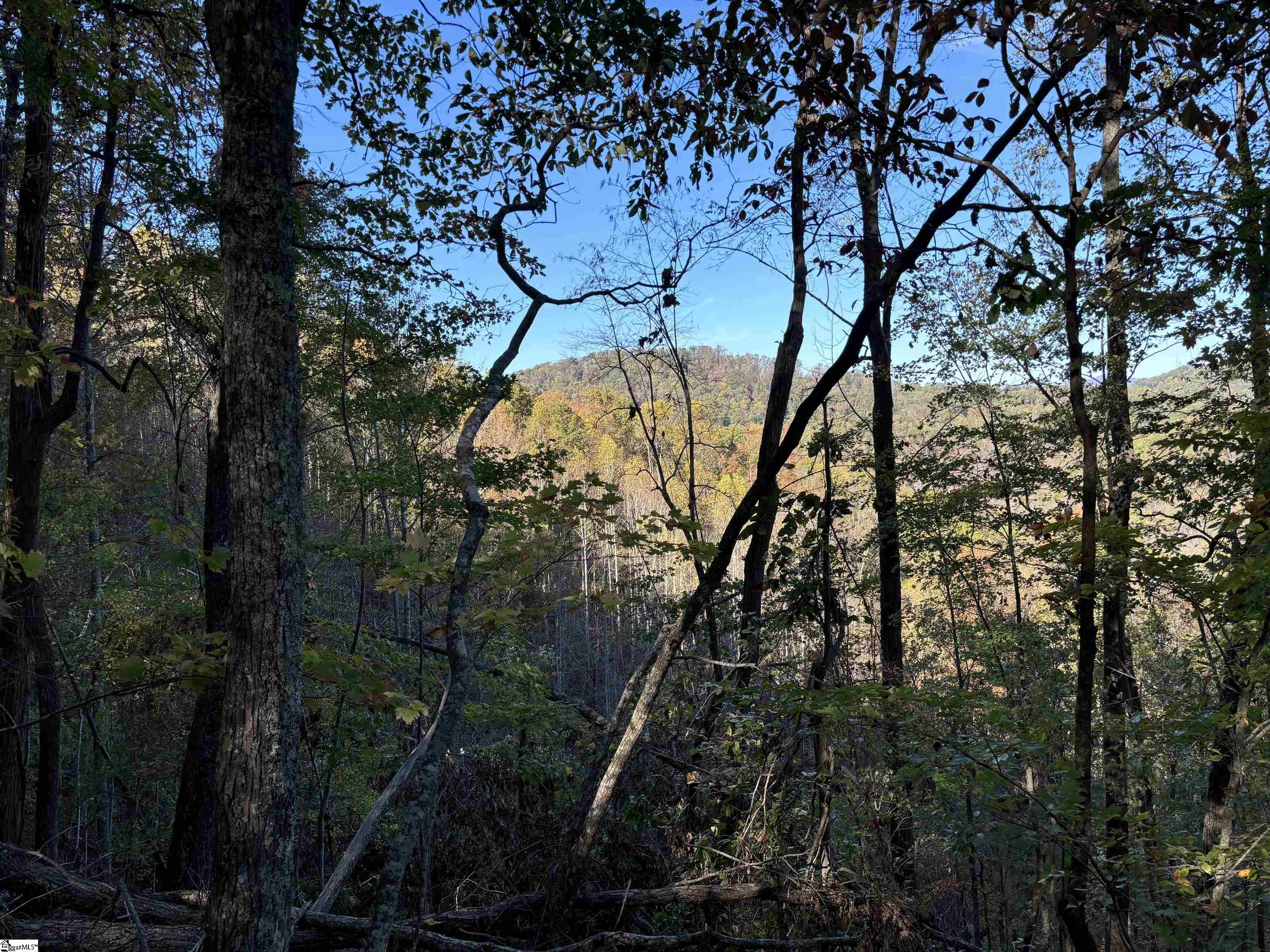 Shady Grove Road Pickens, SC 29685