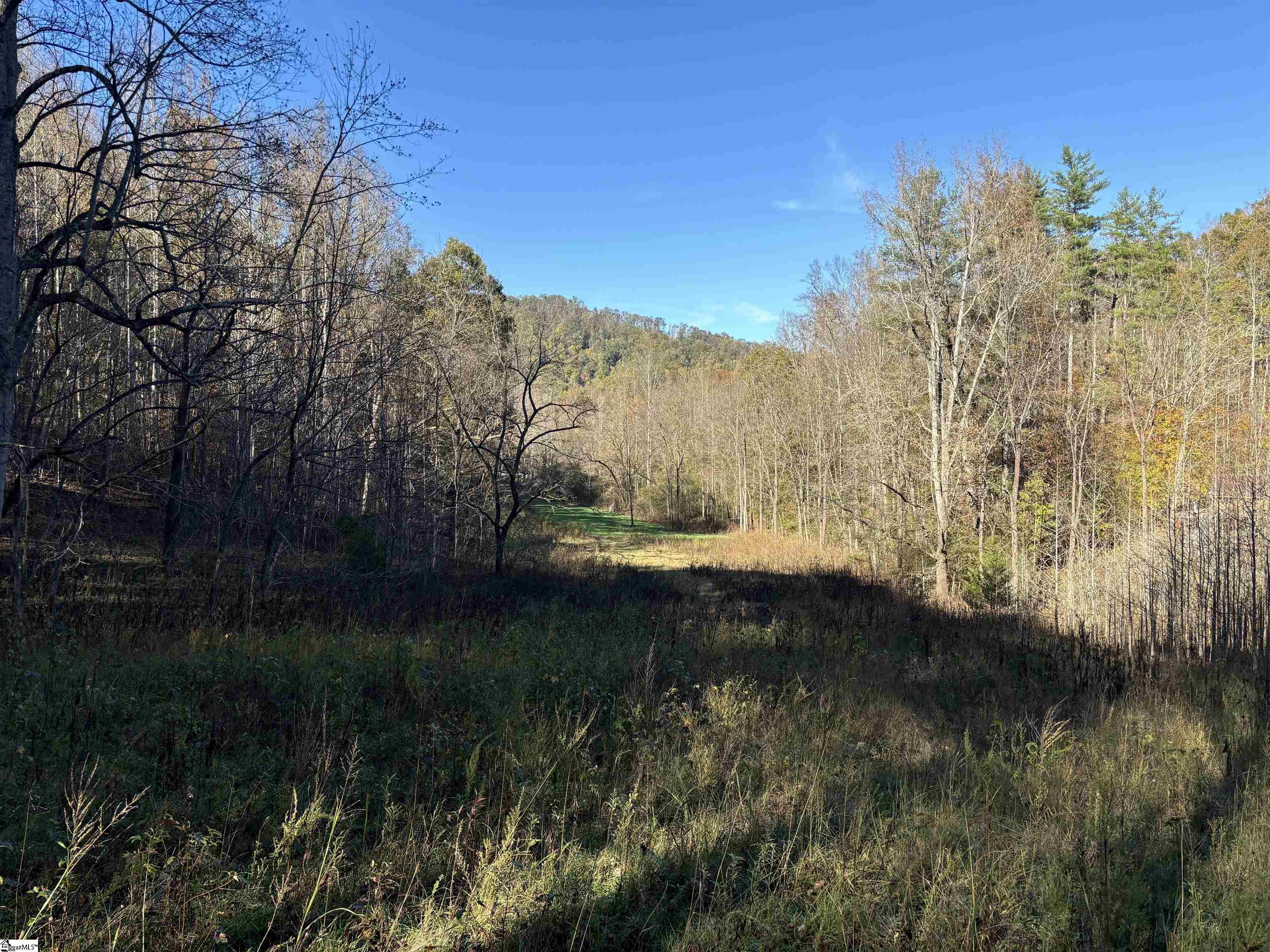 Shady Grove Road Pickens, SC 29685