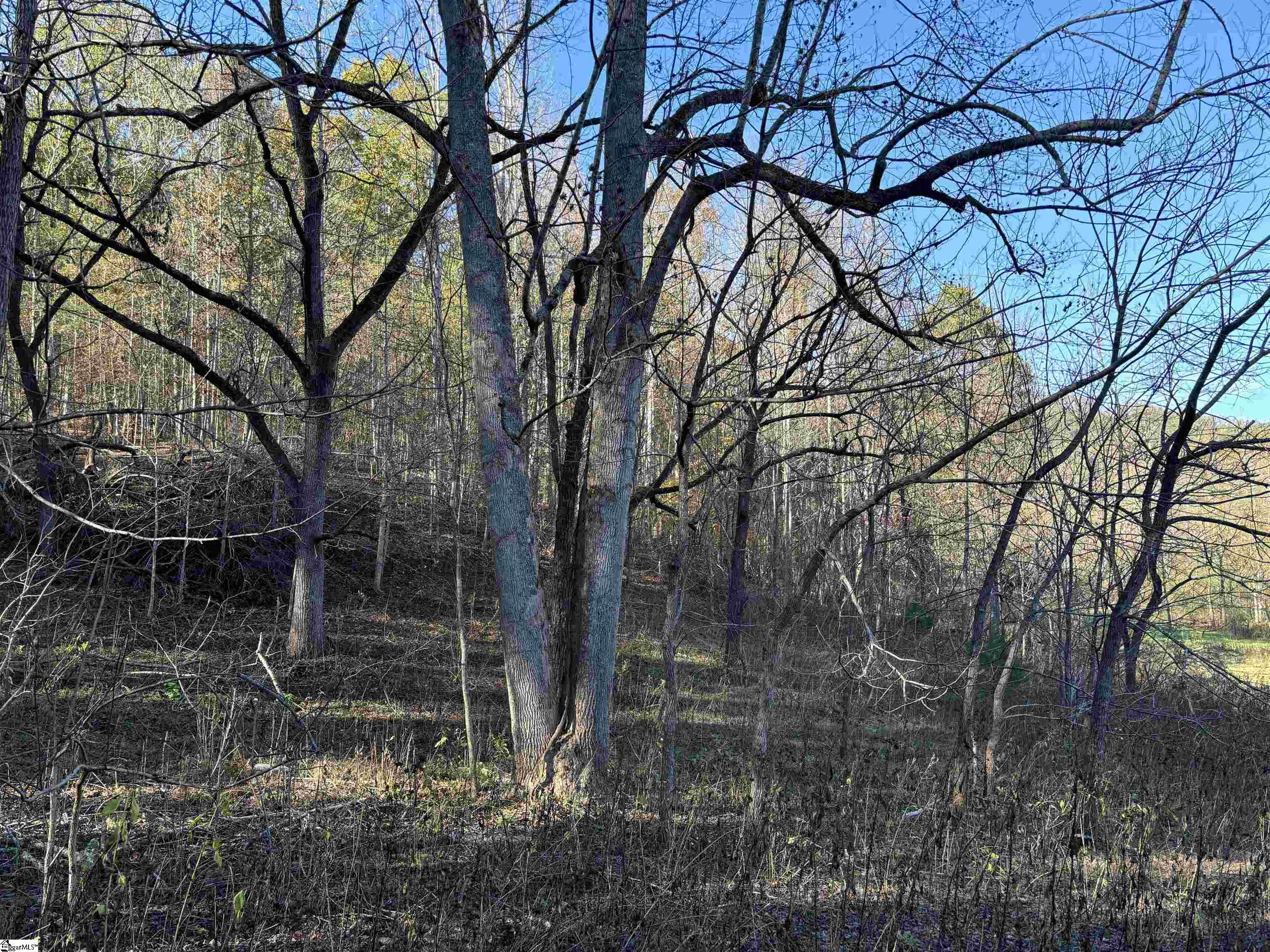 Shady Grove Road Pickens, SC 29685