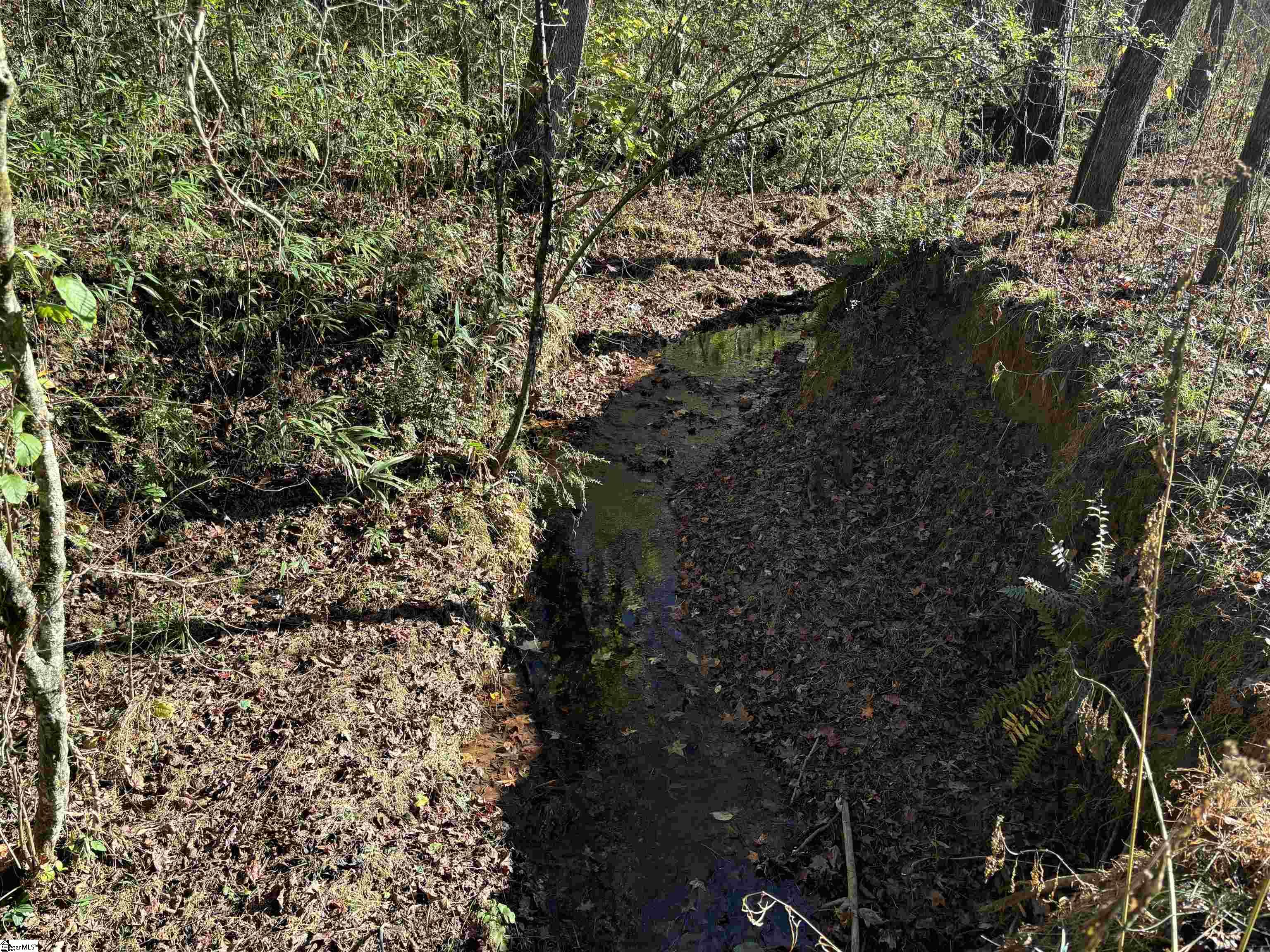 Shady Grove Road Pickens, SC 29685