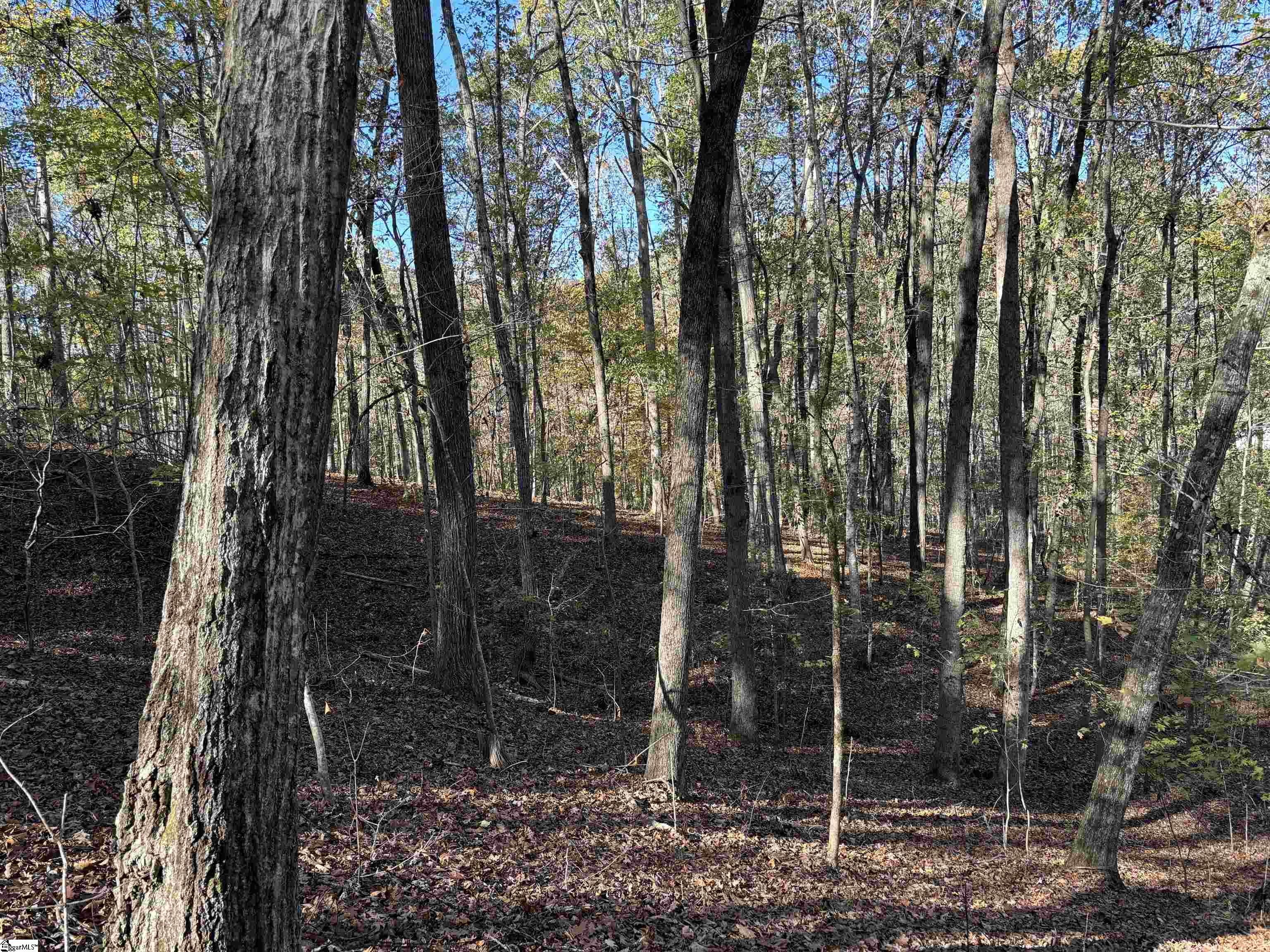 Shady Grove Road Pickens, SC 29685