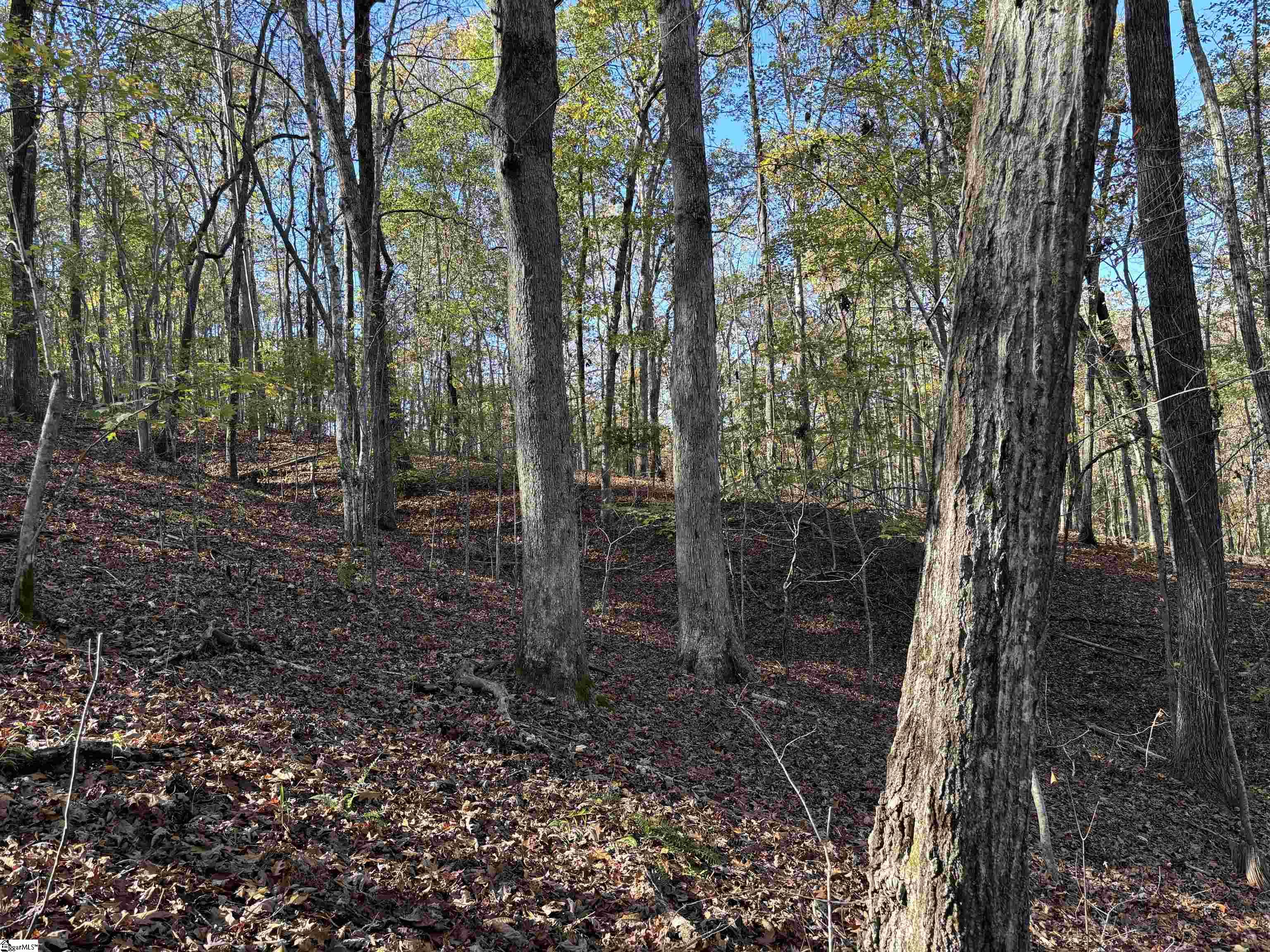 Shady Grove Road Pickens, SC 29685