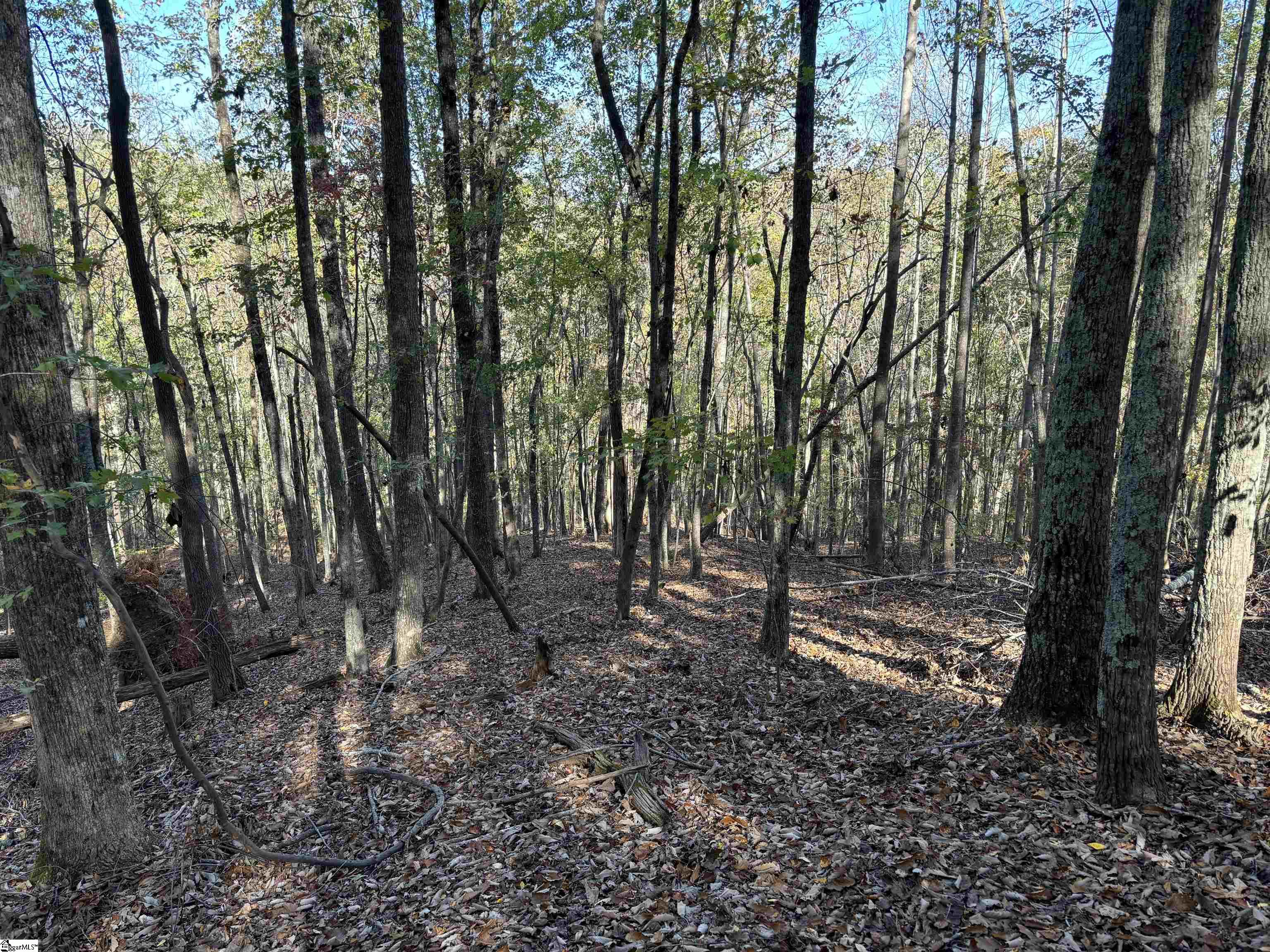 Shady Grove Road Pickens, SC 29685
