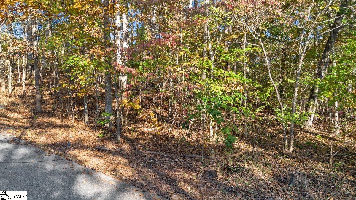 260 Cherokee Drive Fair Play, SC 29643