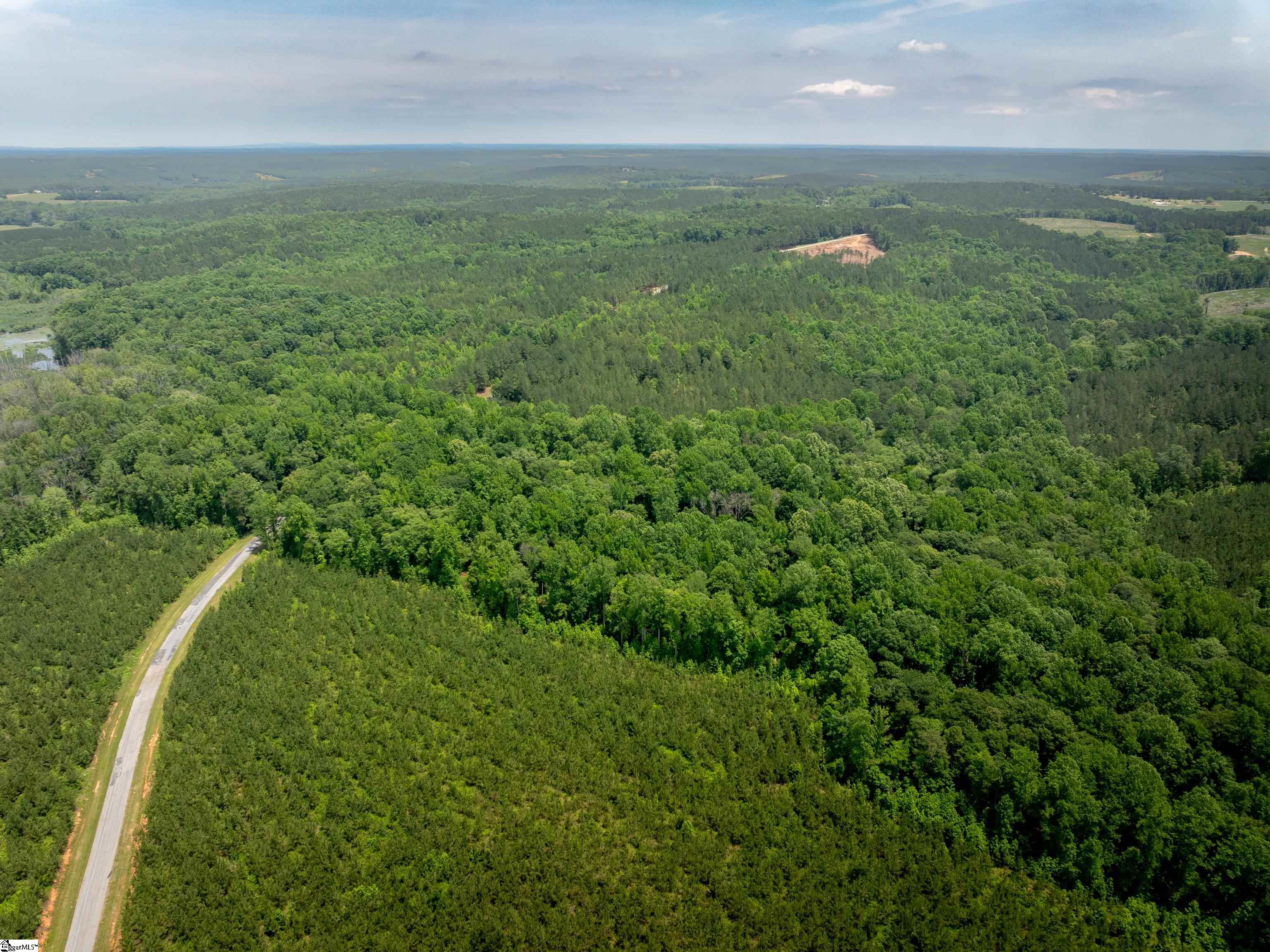 00 Elford Grove Road Jonesville, SC 29353