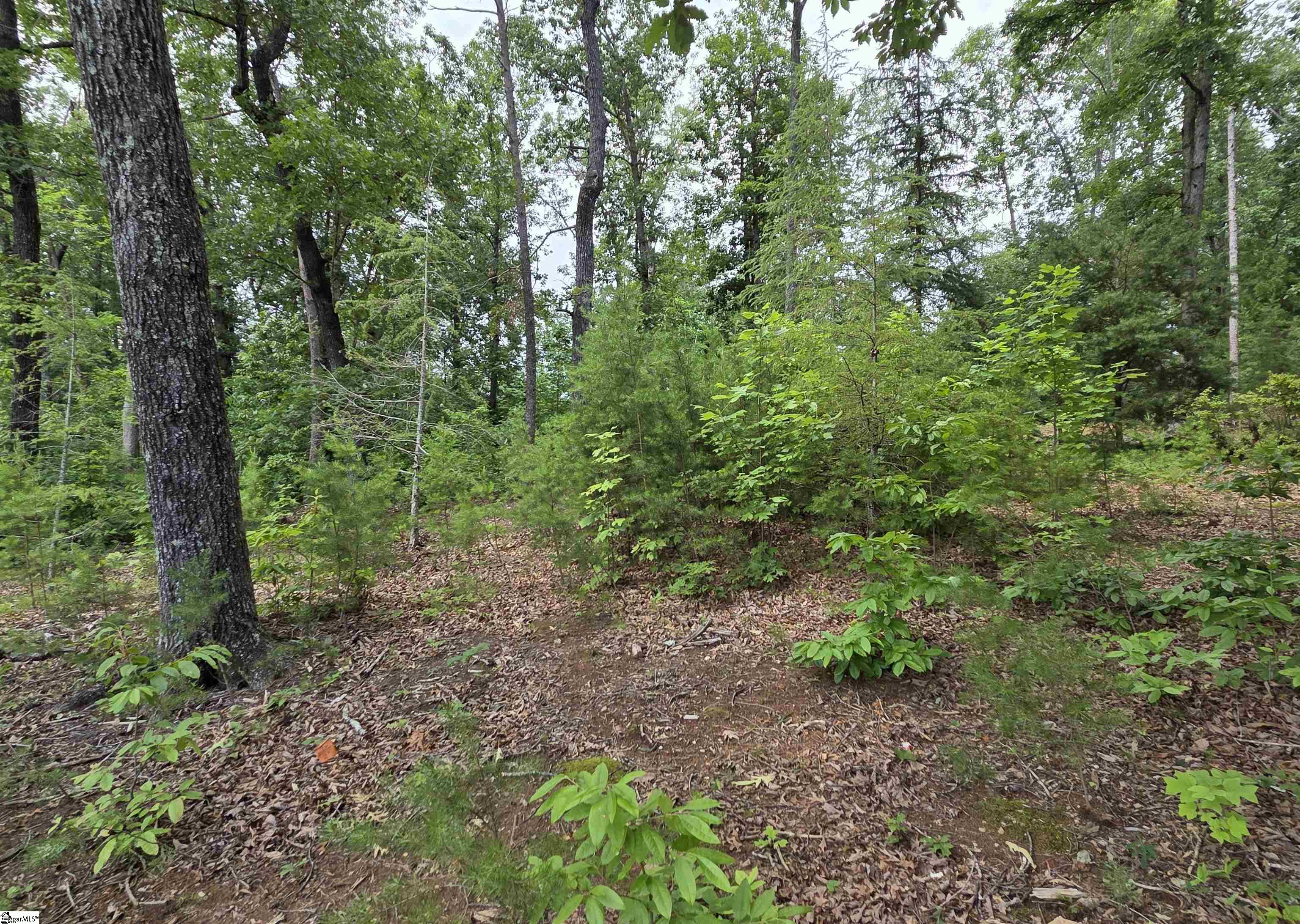 219 Luberon Lane Travelers Rest, SC 29690